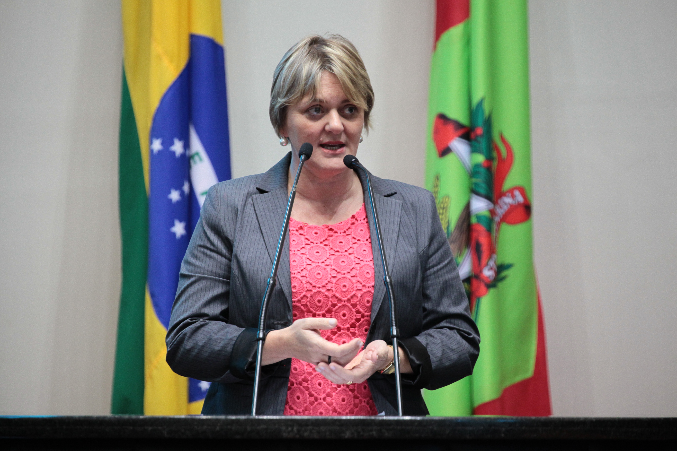 Sessão Ordinária. Deputada Luciane Carminatti (PT)