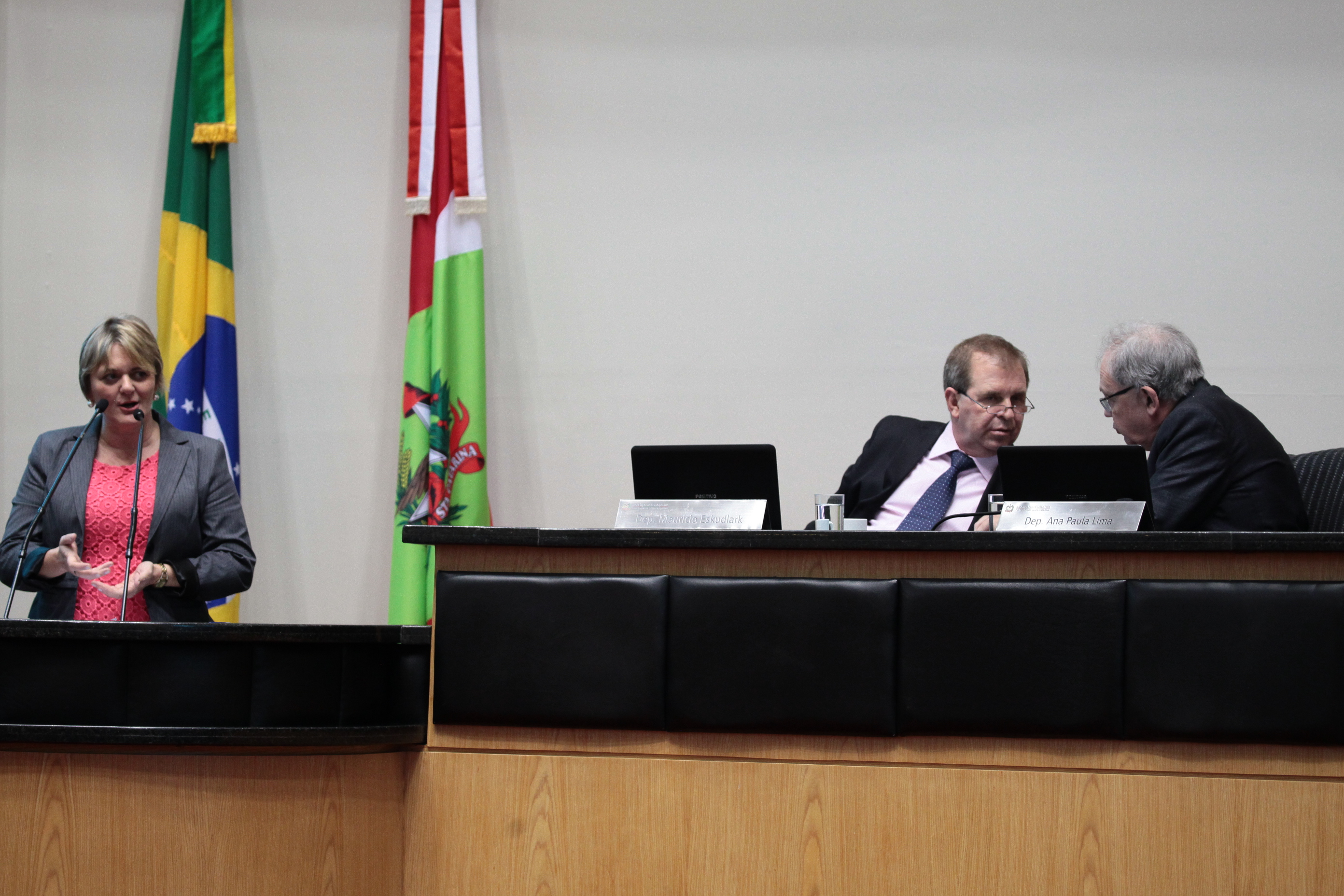 Sessão Ordinária. Deputada Luciane Carminatti (PT)