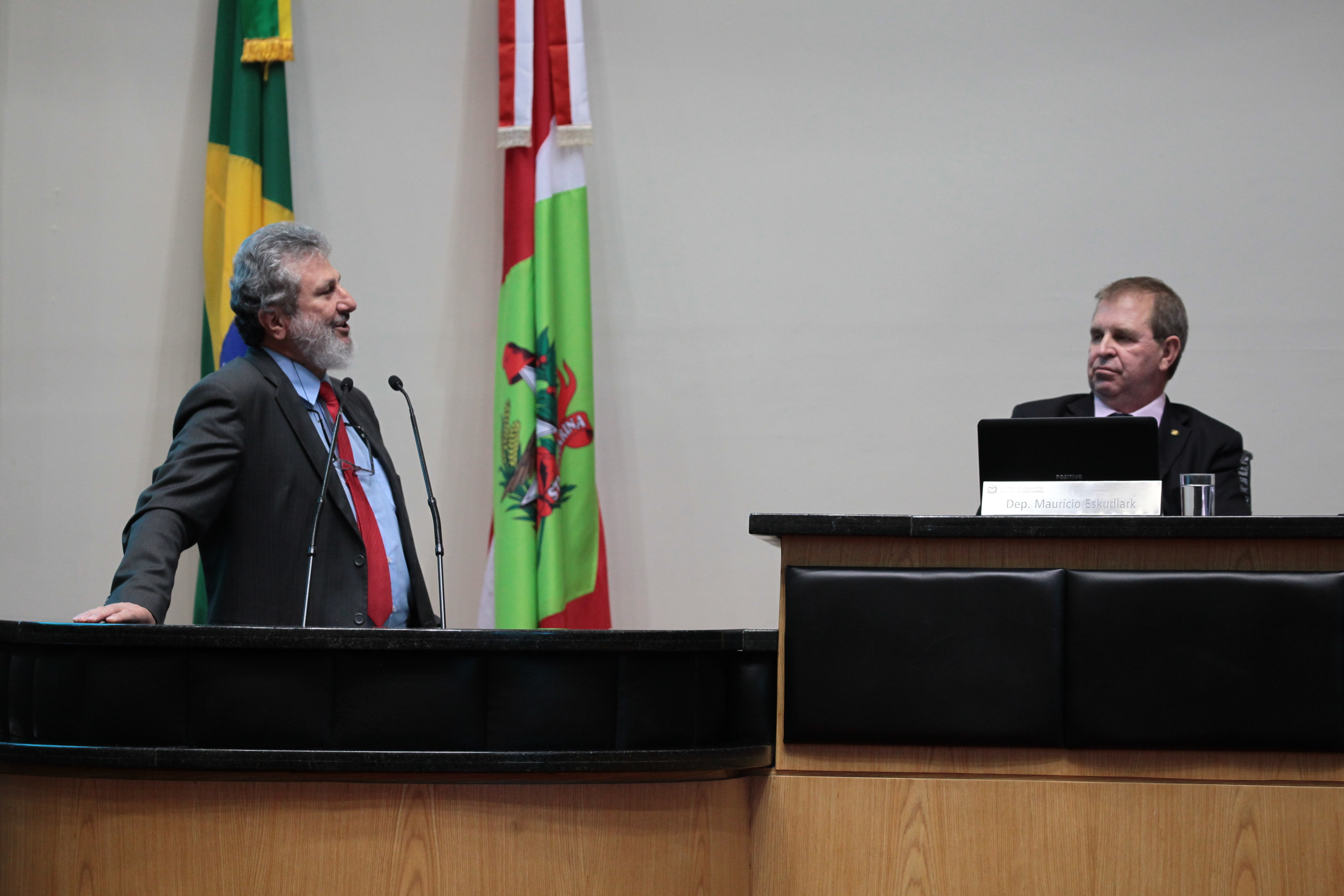 Sessão Ordinária. Deputado Padre Pedro Baldissera (PT)