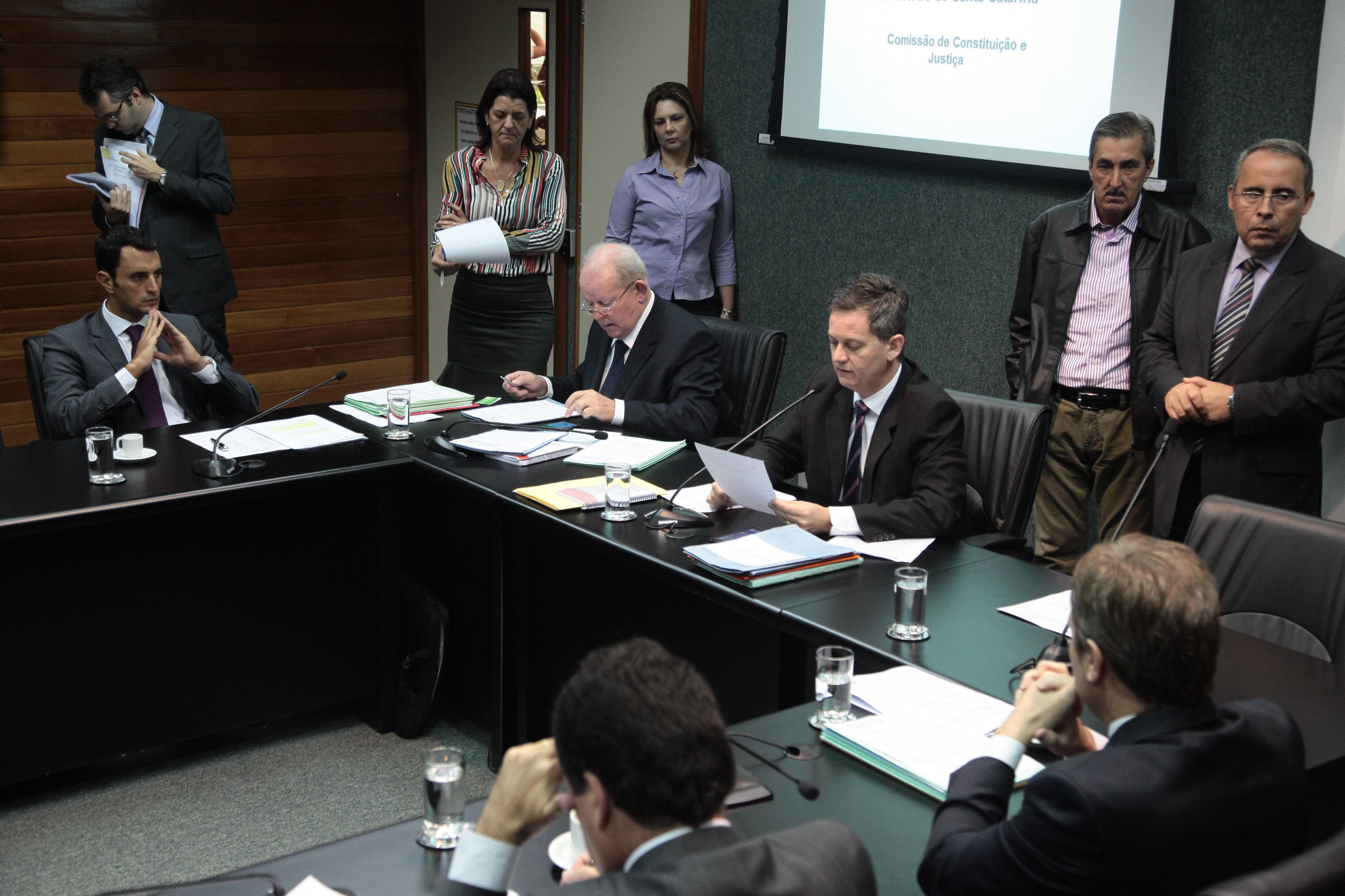 Comissão de Constituição e Justiça.