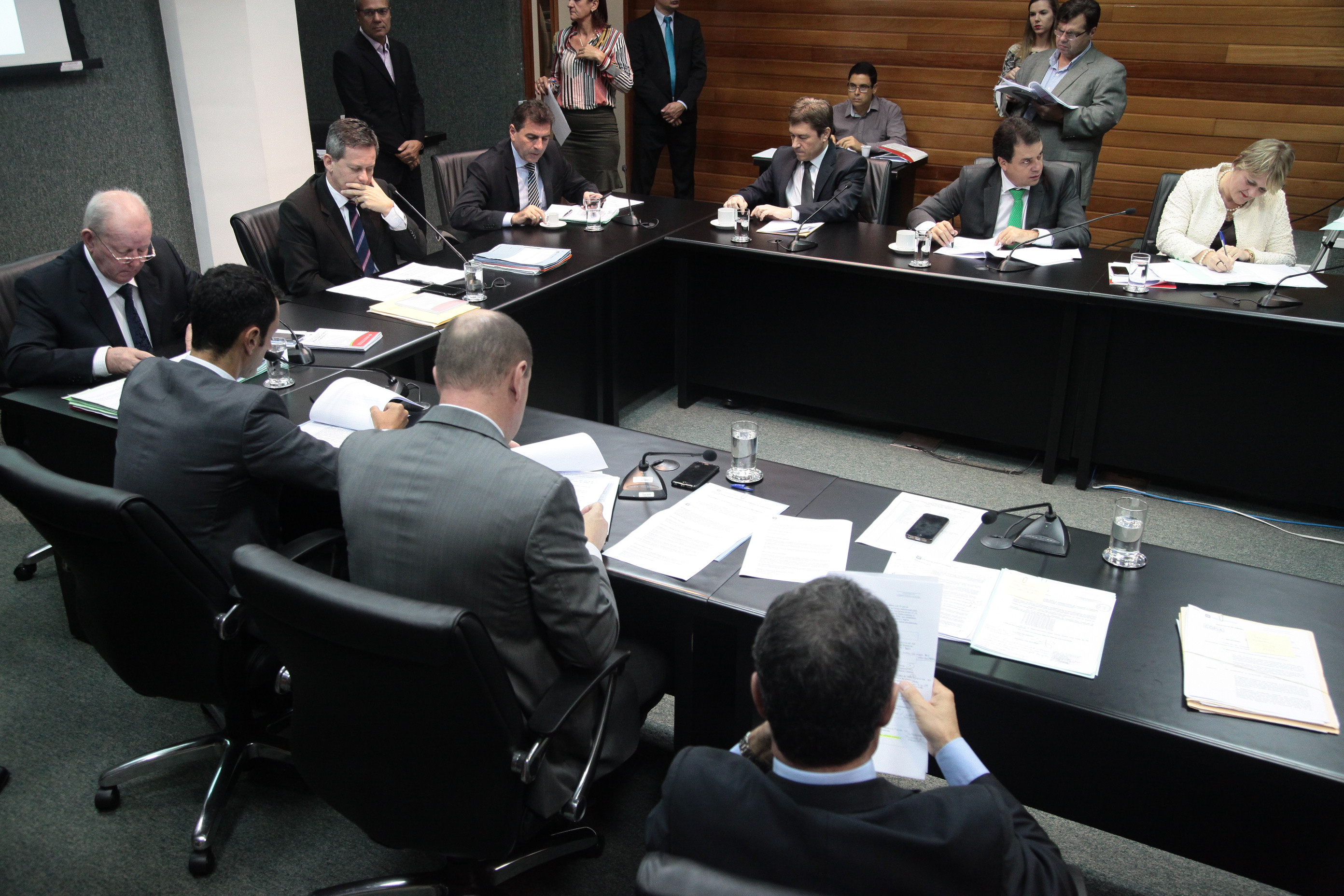 Comissão de Constituição e Justiça.