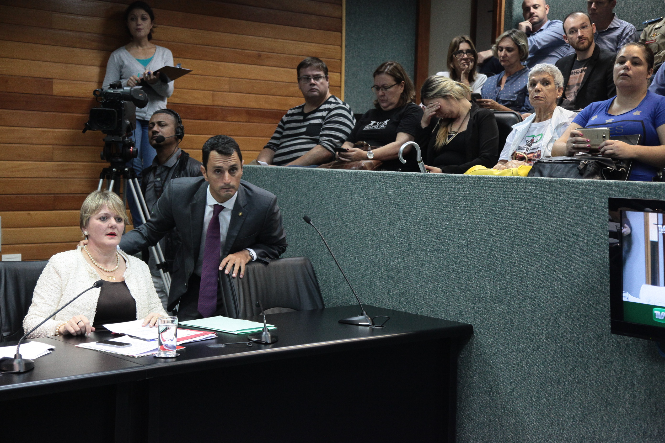 Comissão de Constituição e Justiça.