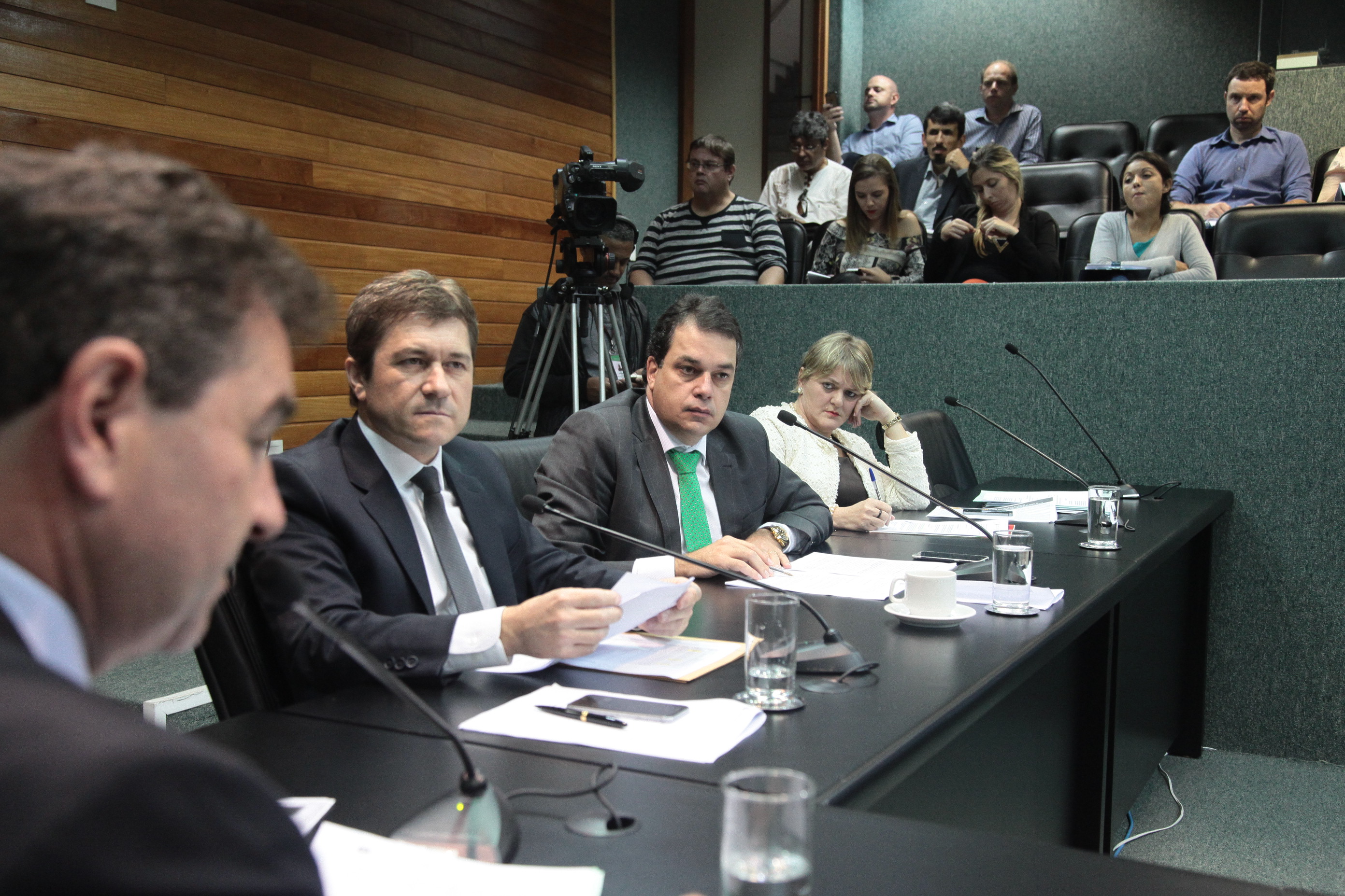 Comissão de Constituição e Justiça.
