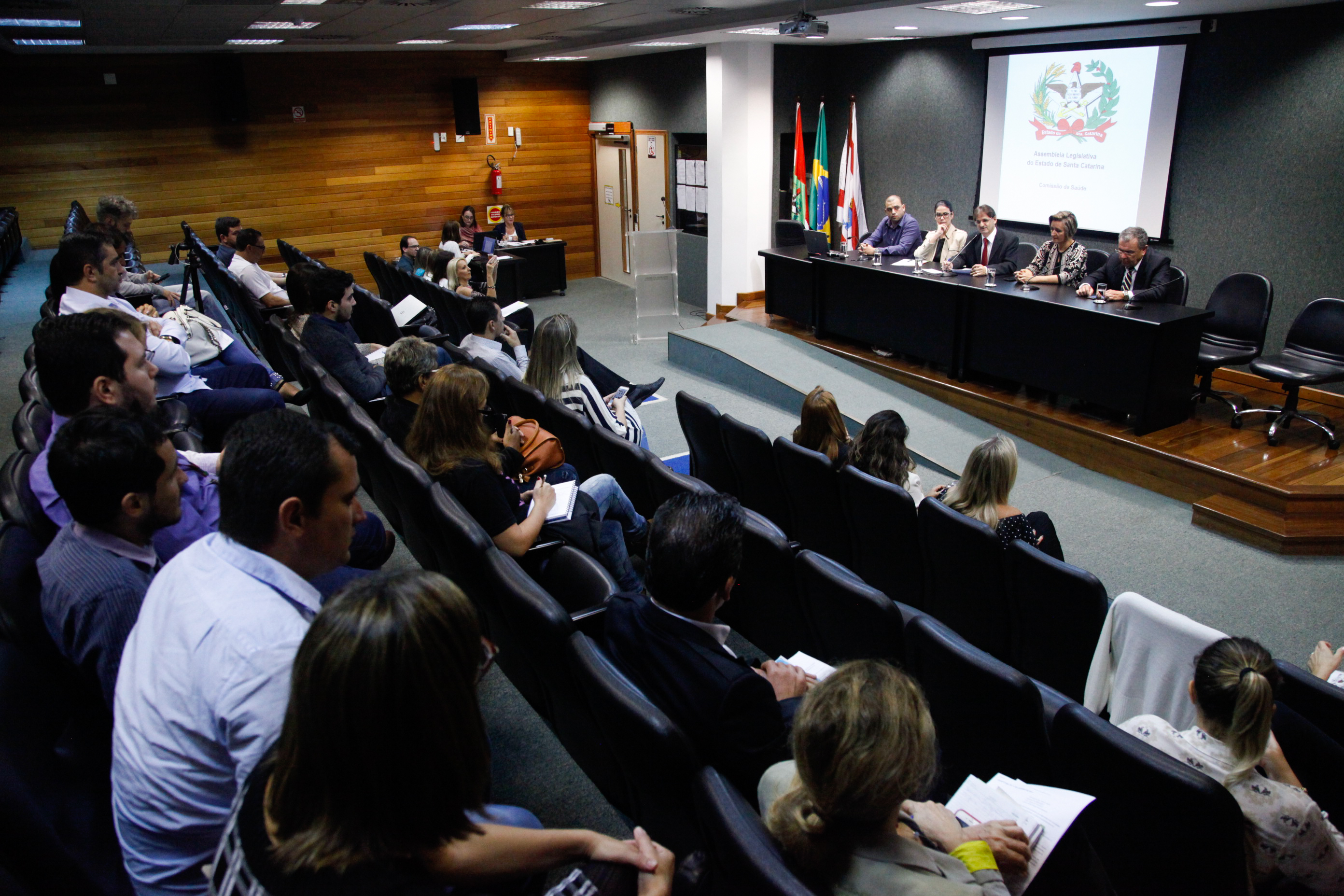 Comissão de Saúde Promove Audiência Pública Sobre a Divulgação na Internet da Lista de Atendimento do SUS.