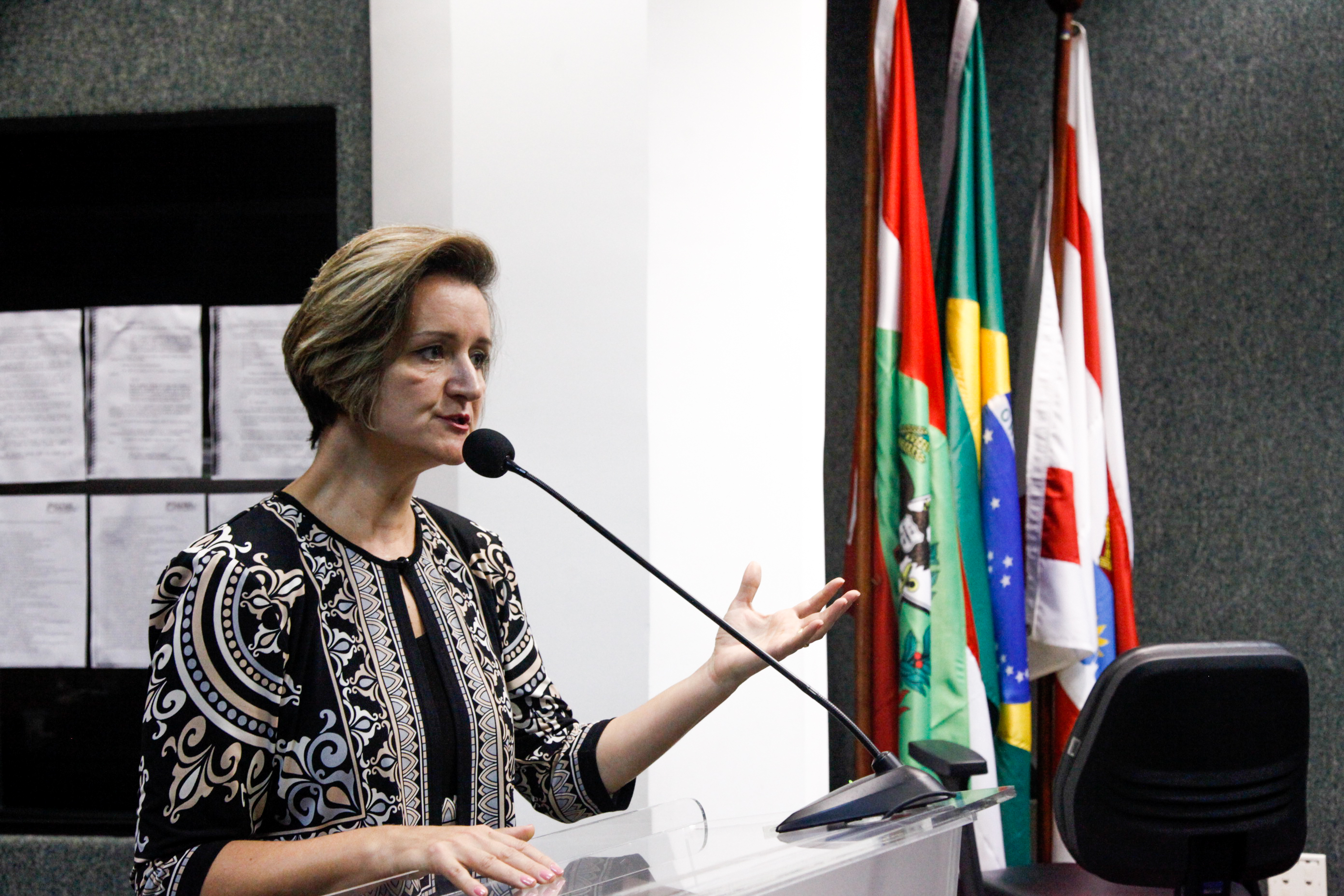 Comissão de Saúde Promove Audiência Pública Sobre a Divulgação na Internet da Lista de Atendimento do SUS.