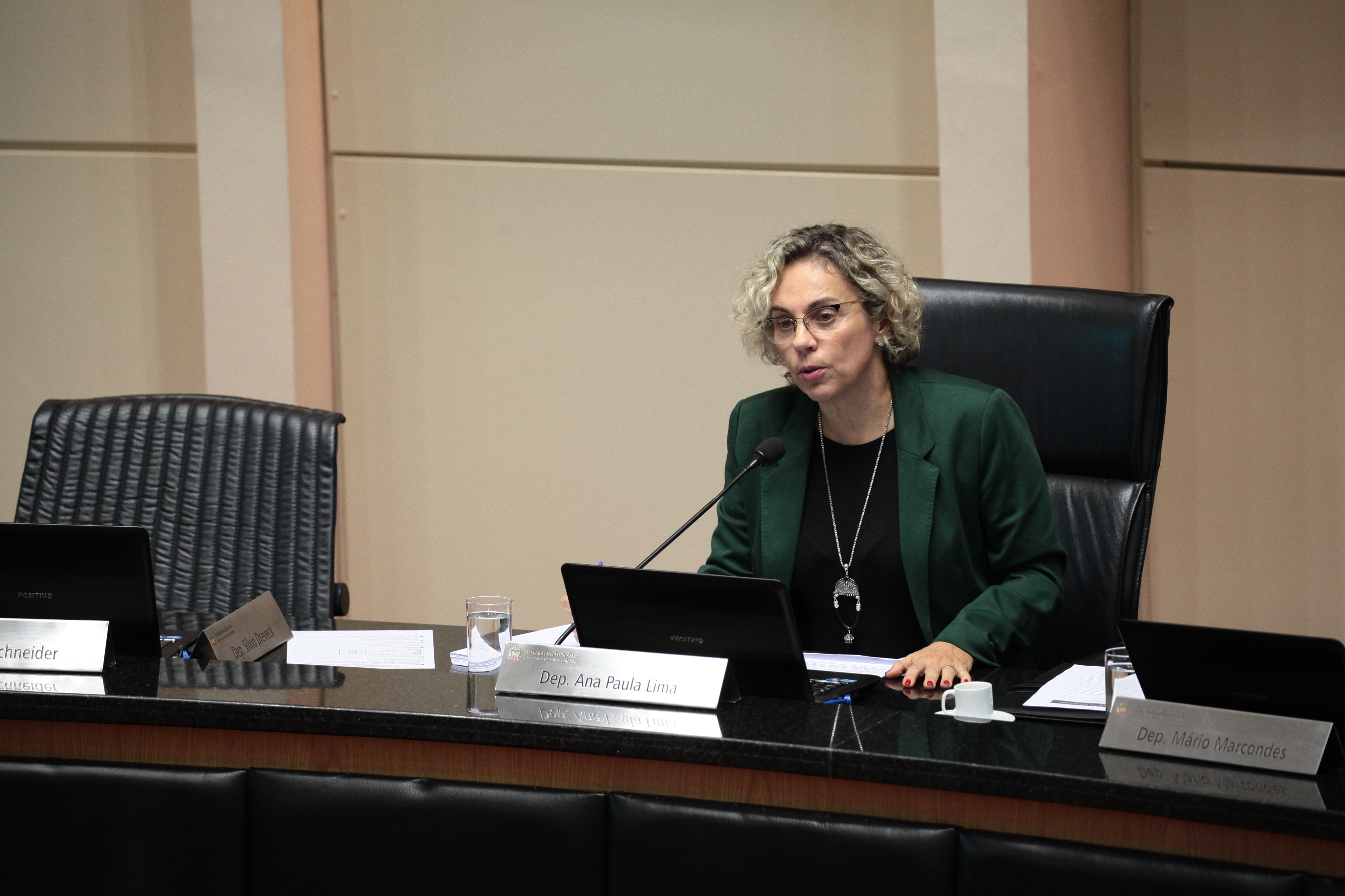 Sessão Ordinária. Deputada Ana Paula Lima (PT). Foto: Miriam Zomer