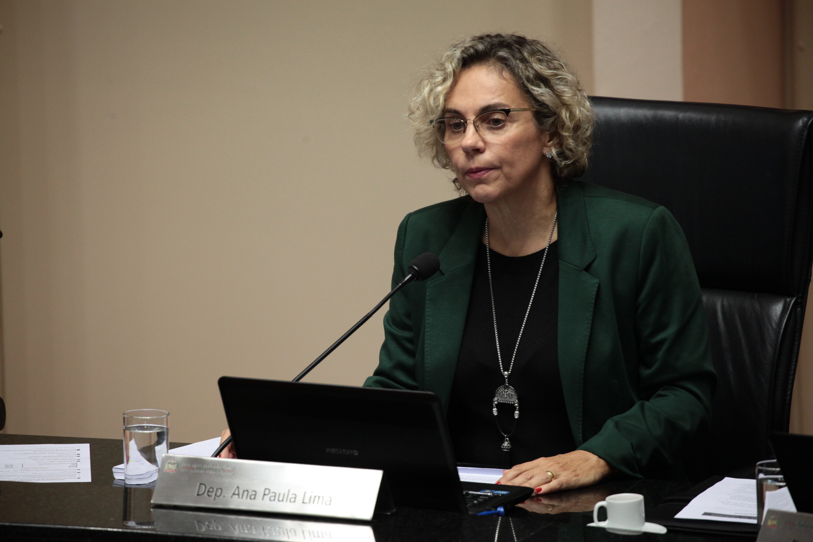 Sessão Ordinária. Deputada Ana Paula Lima (PT). Foto: Miriam Zomer
