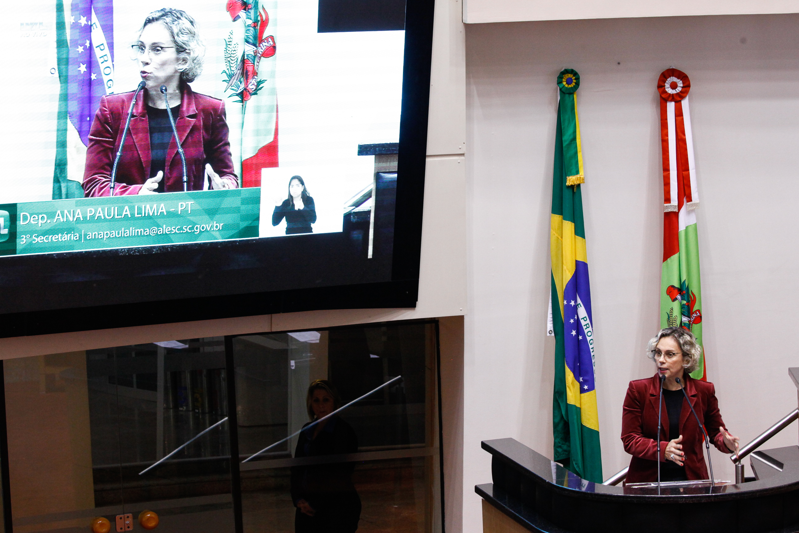 Deputada Ana Paula Lima (PT). Sessão Ordinária.