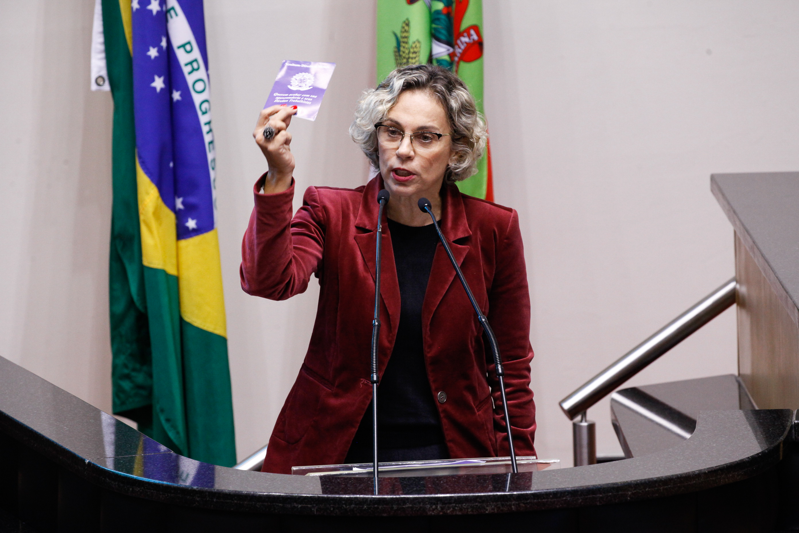 Deputada Ana Paula Lima (PT). Sessão Ordinária.