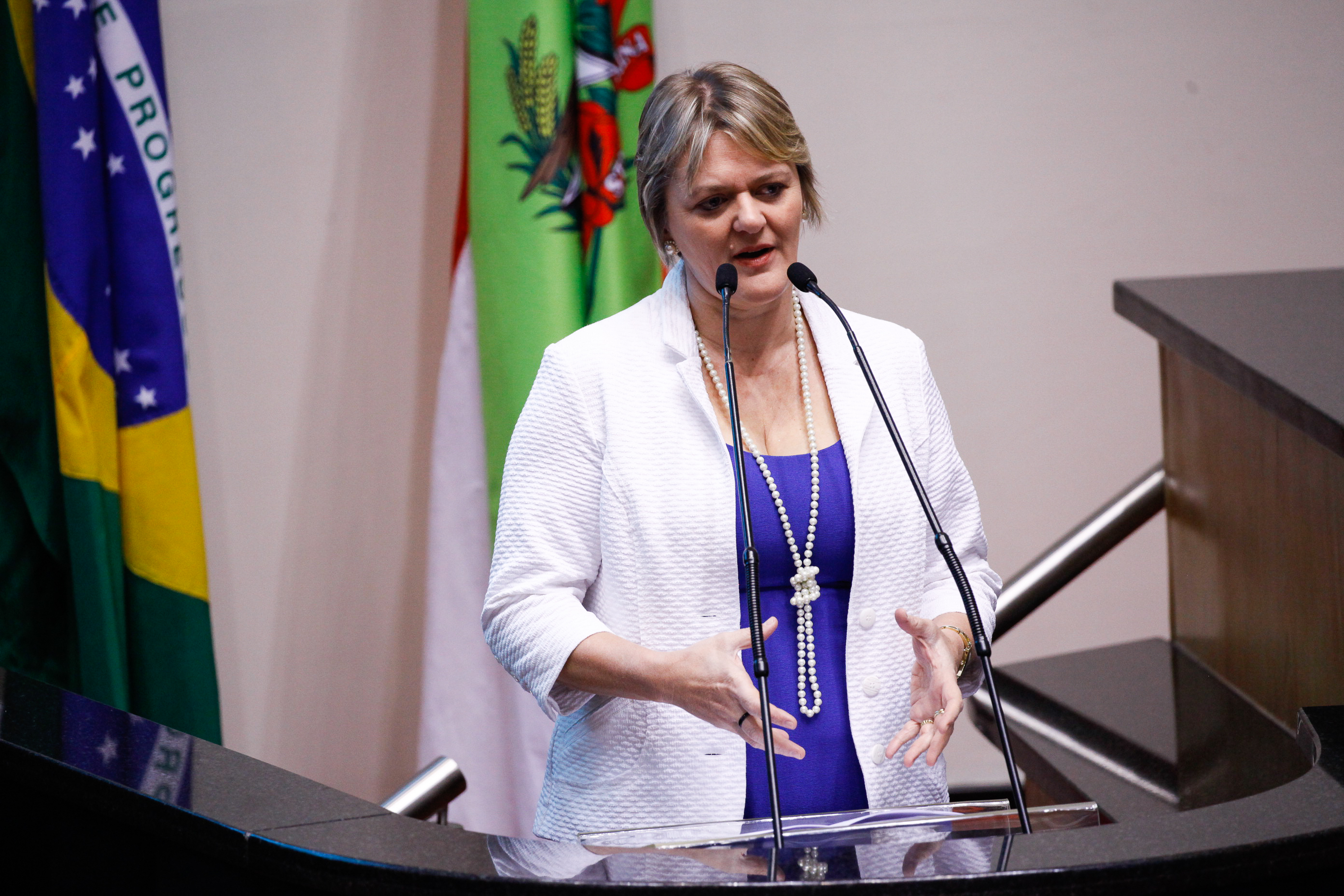 Deputada Luciane Carminatti (PT). Sessão Ordinária.