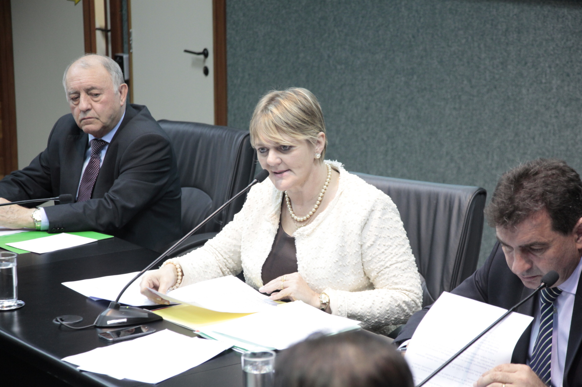 Deputada Luciane Carminatti, presidente da comissão, e os deputados Natalino Lázare e Valdir Cobalchini