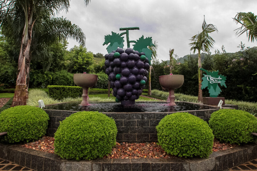Vinícolas se estruturam para oferecer mais do que degustação de vinhos.