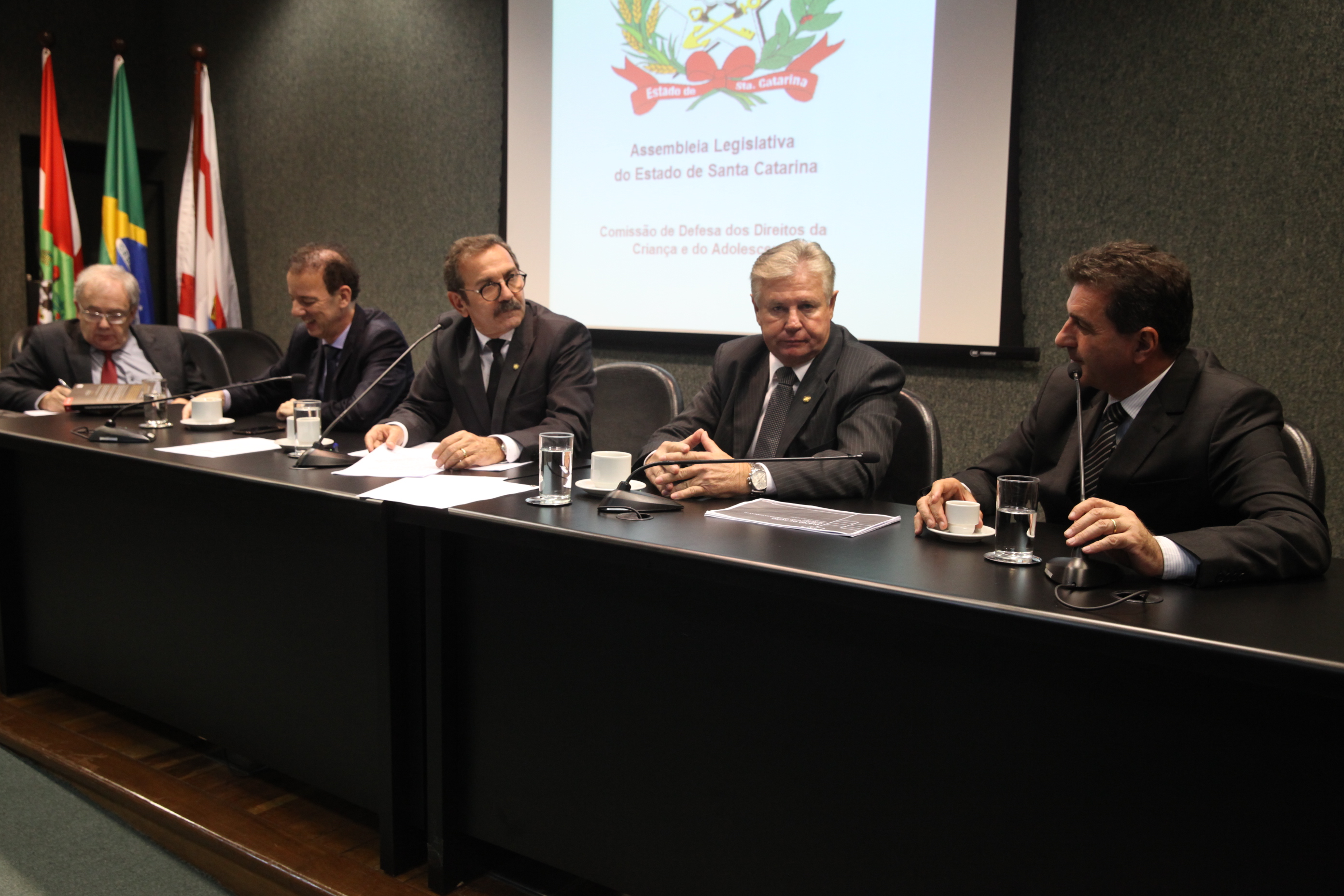 Reunião da Comissão de Defesa dos Direitos da Criança e do Adolescente.