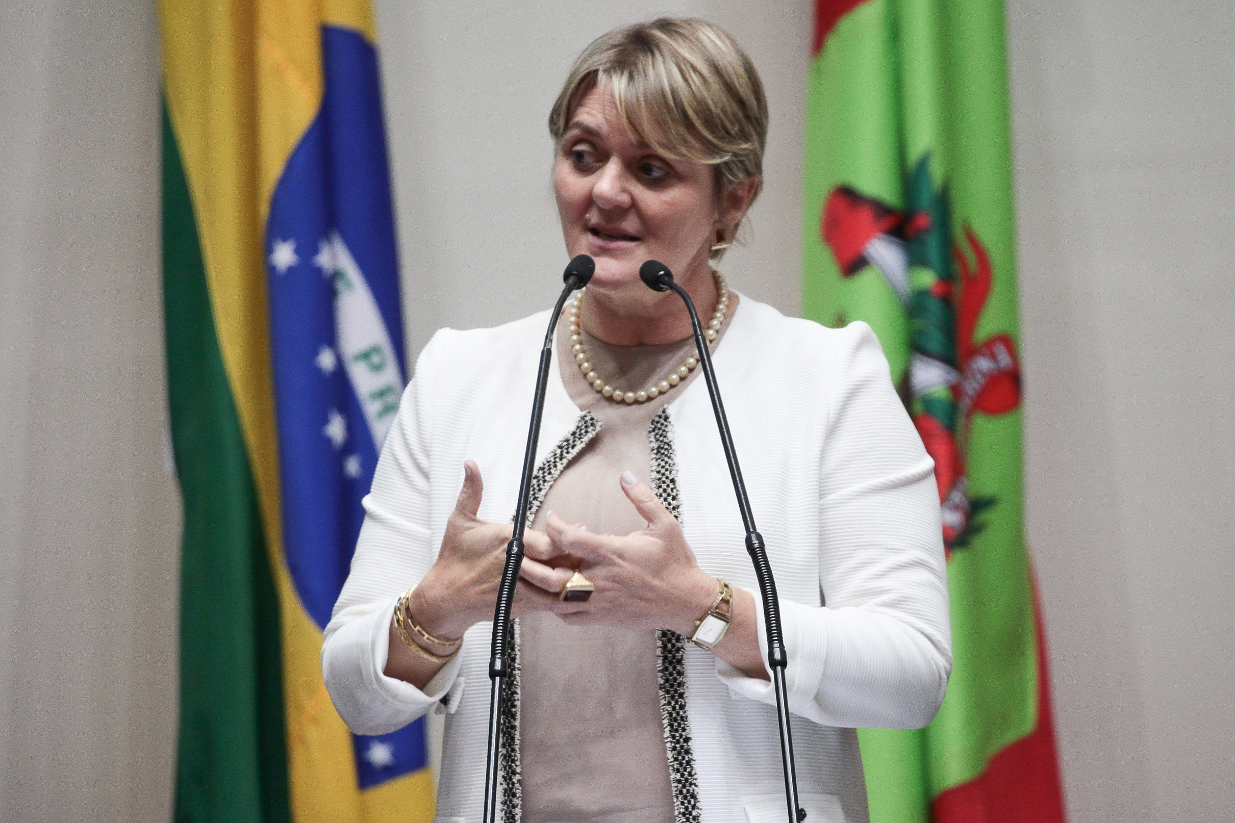 Sessão Ordinária.  Deputada Luciane Carminatti (PT)