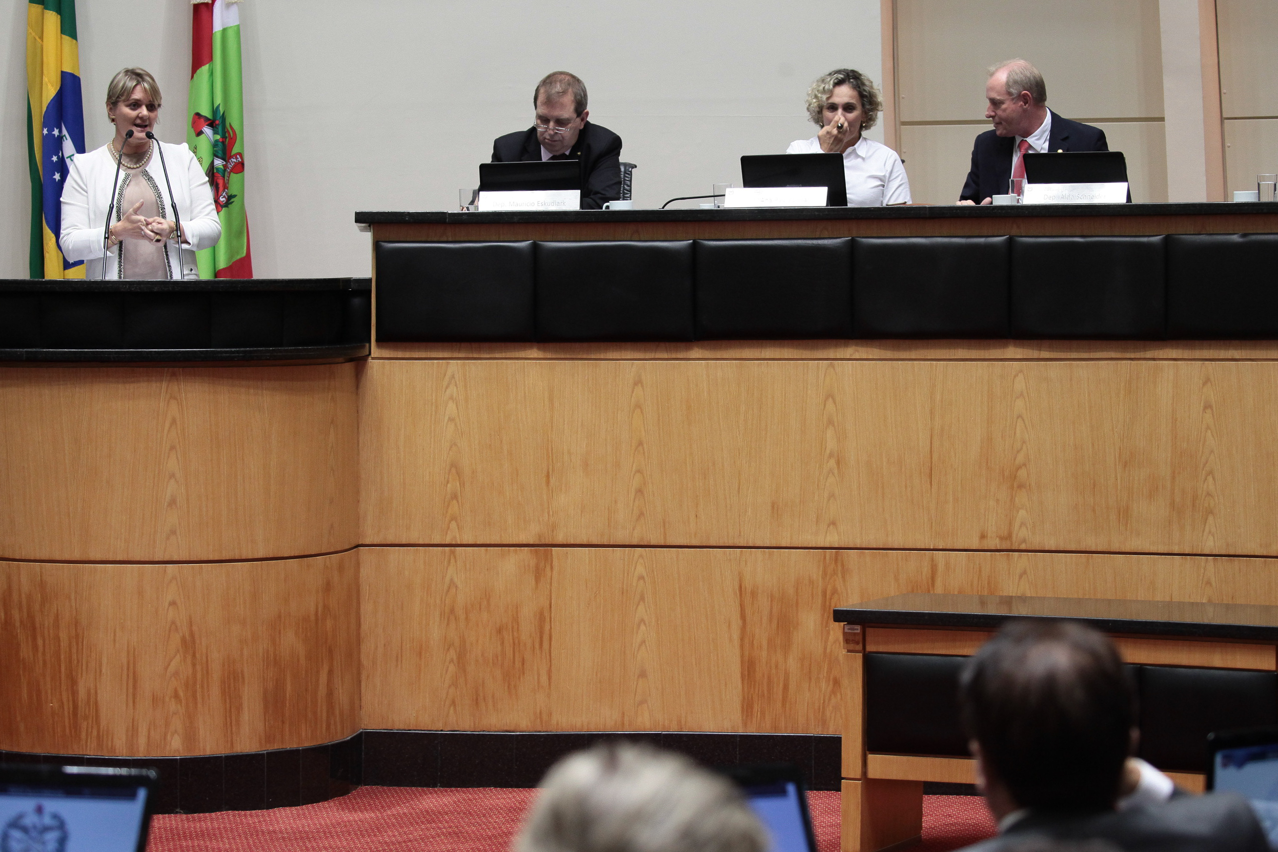 Sessão Ordinária. Deputada Luciane Carminatti (PT)