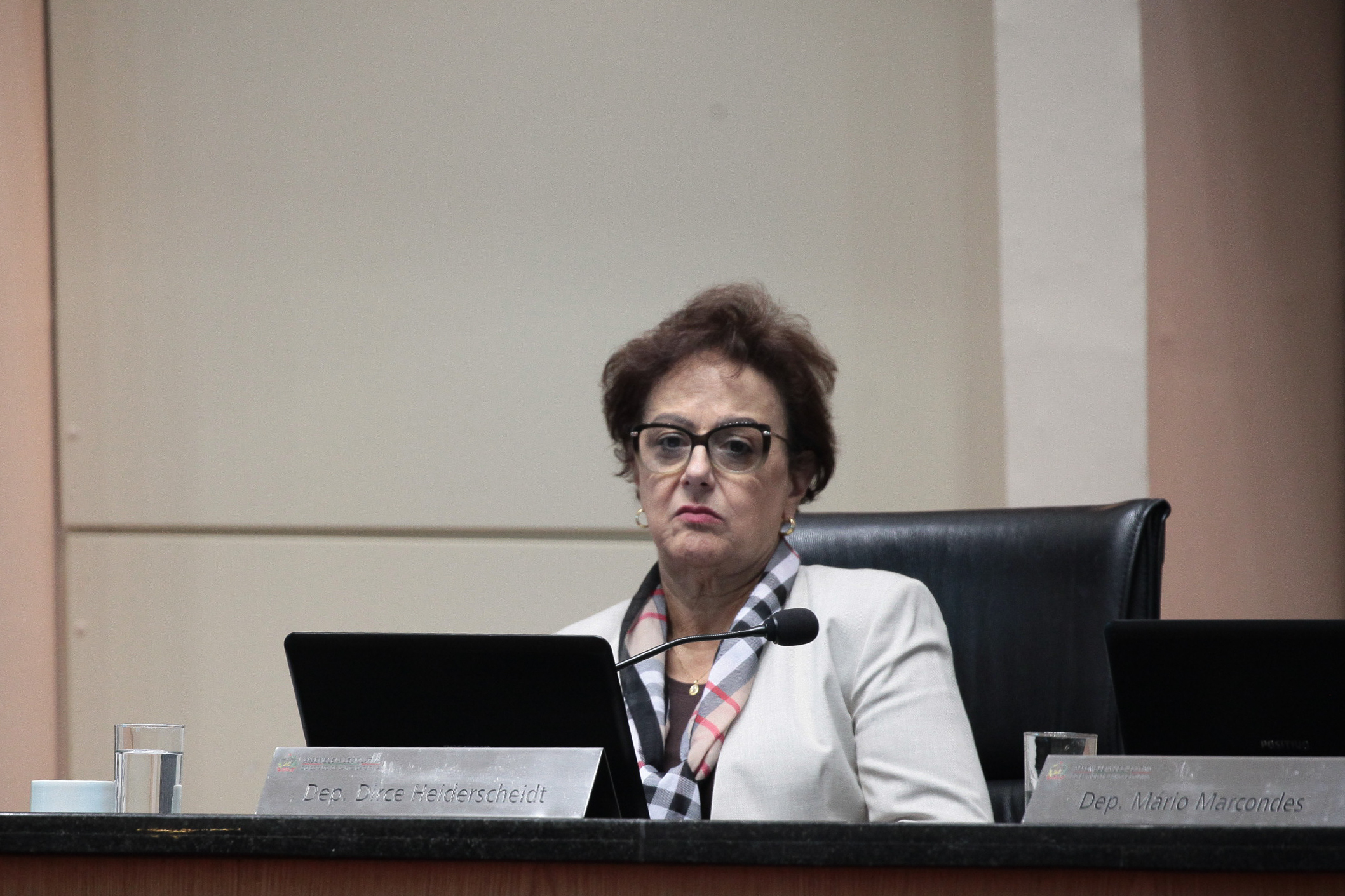 Sessão Ordinária.  Deputada Dirce Heiderscheidt (PMDB)