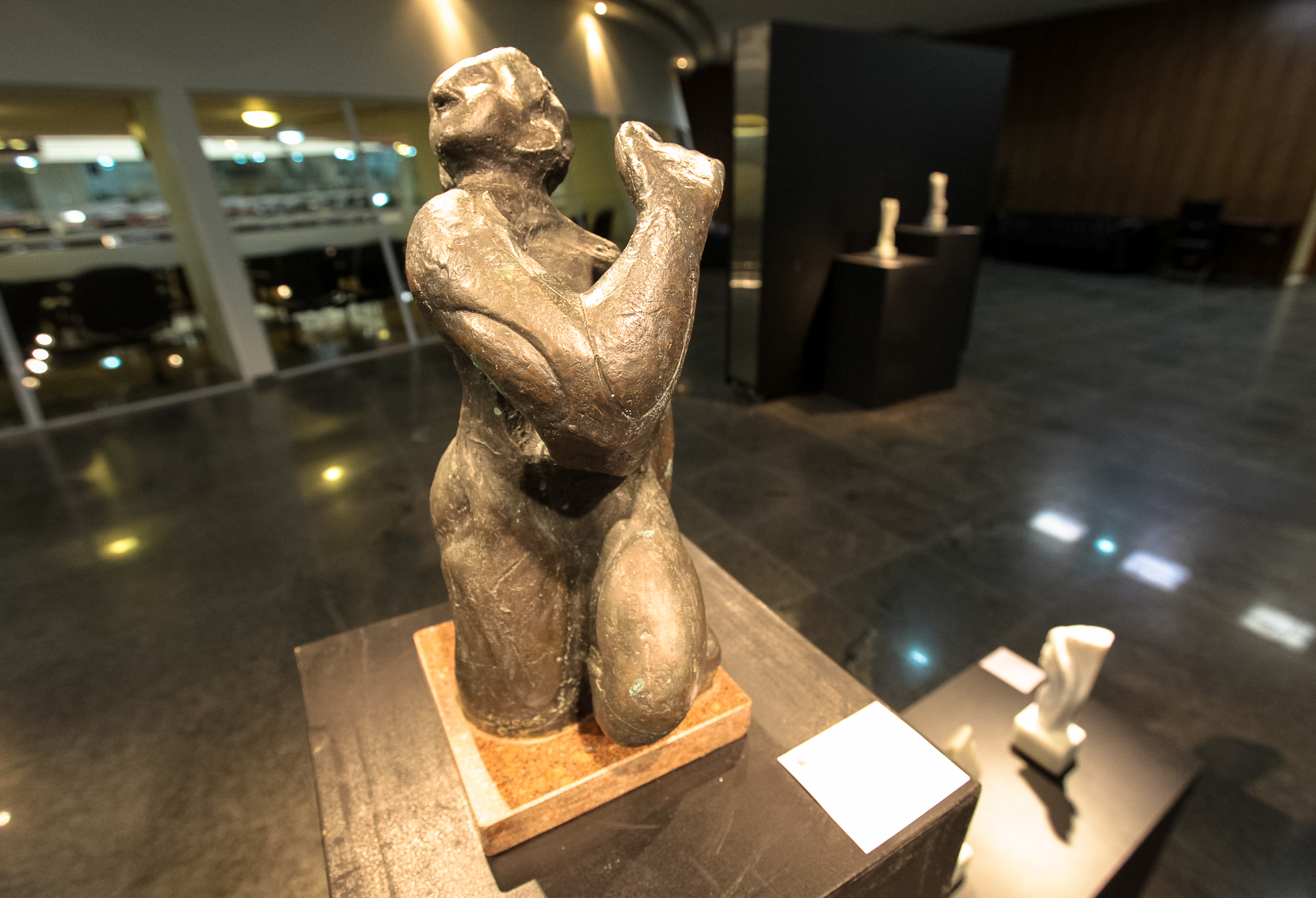Exposição 