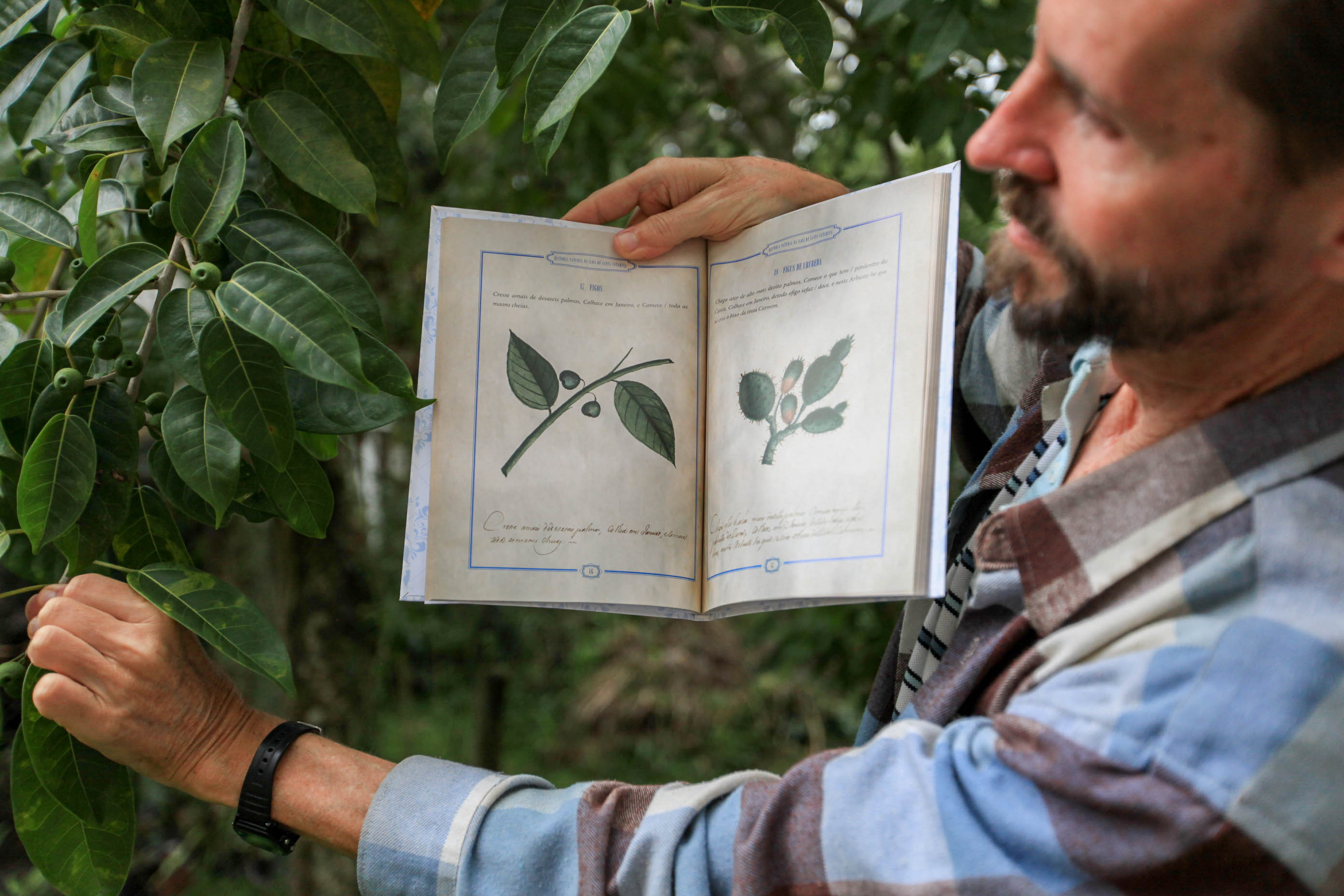 Livro com coleção inédita sobre árvores de Santa Catarina