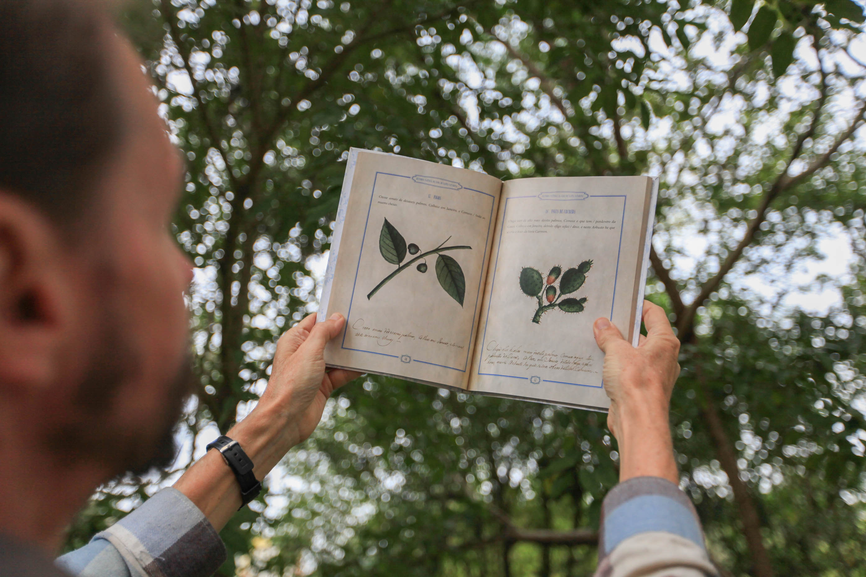 Livro com coleção inédita sobre árvores de Santa Catarina