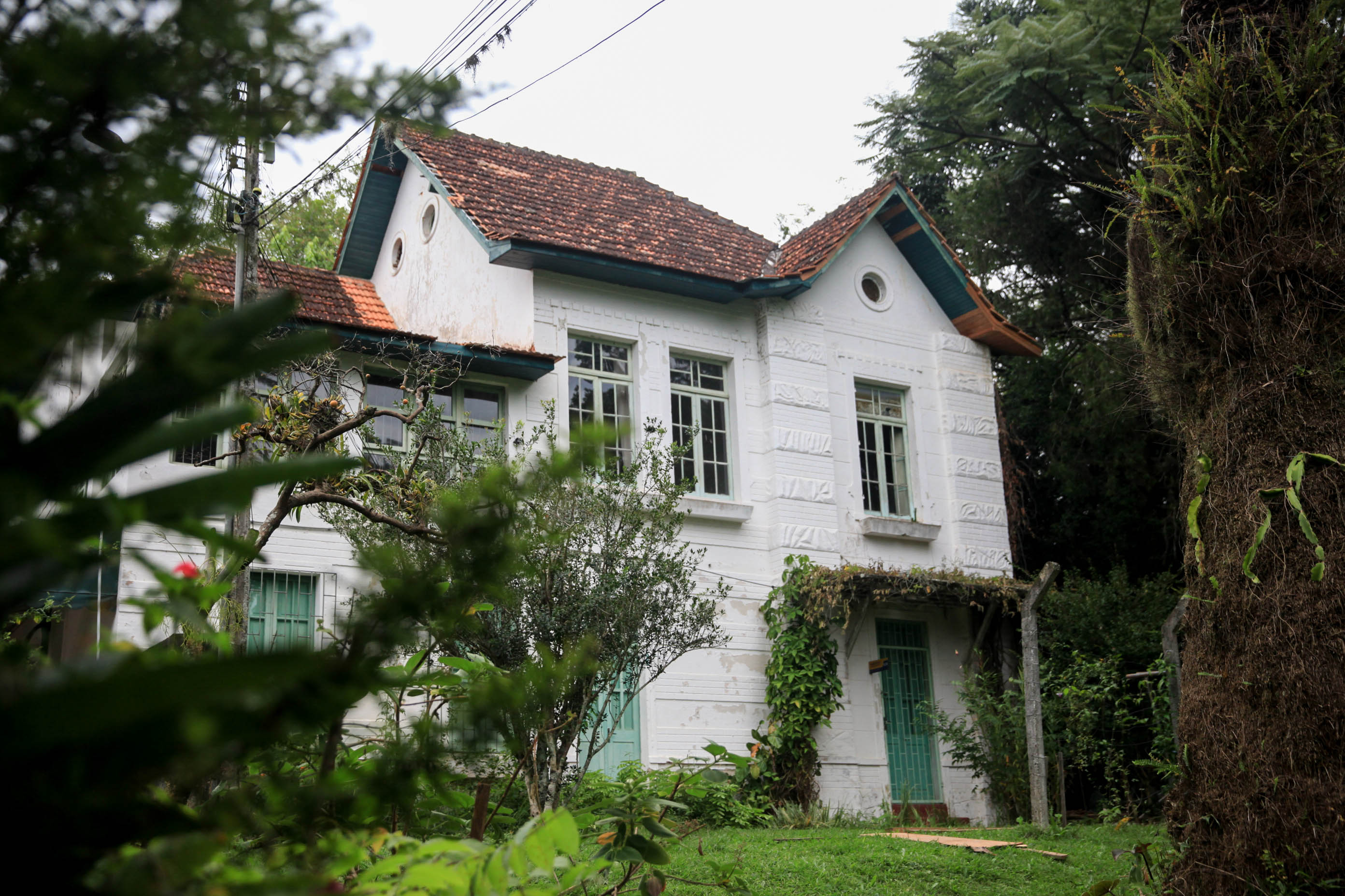Livro com coleção inédita sobre árvores de Santa Catarina