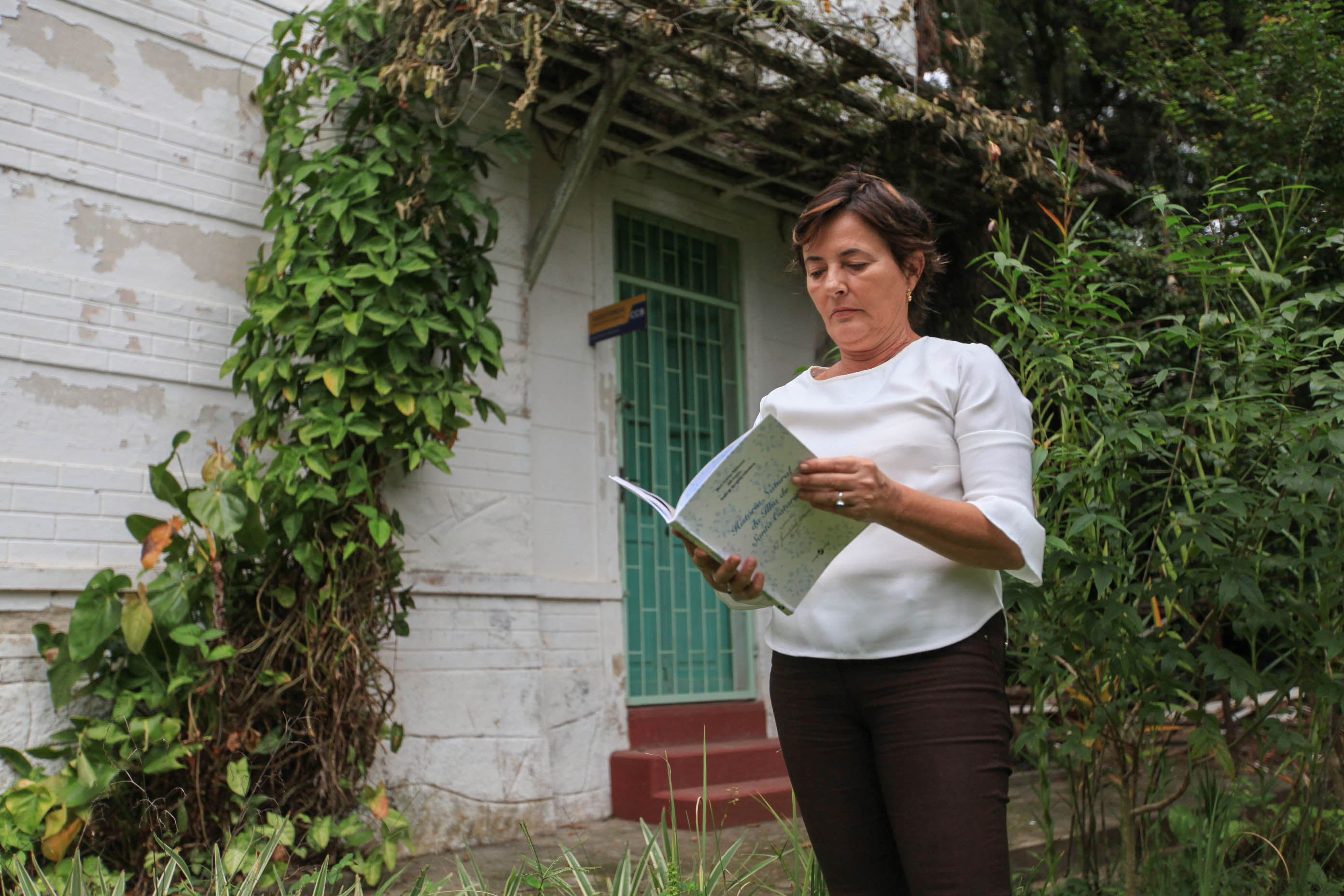 Livro com coleção inédita sobre árvores de Santa Catarina