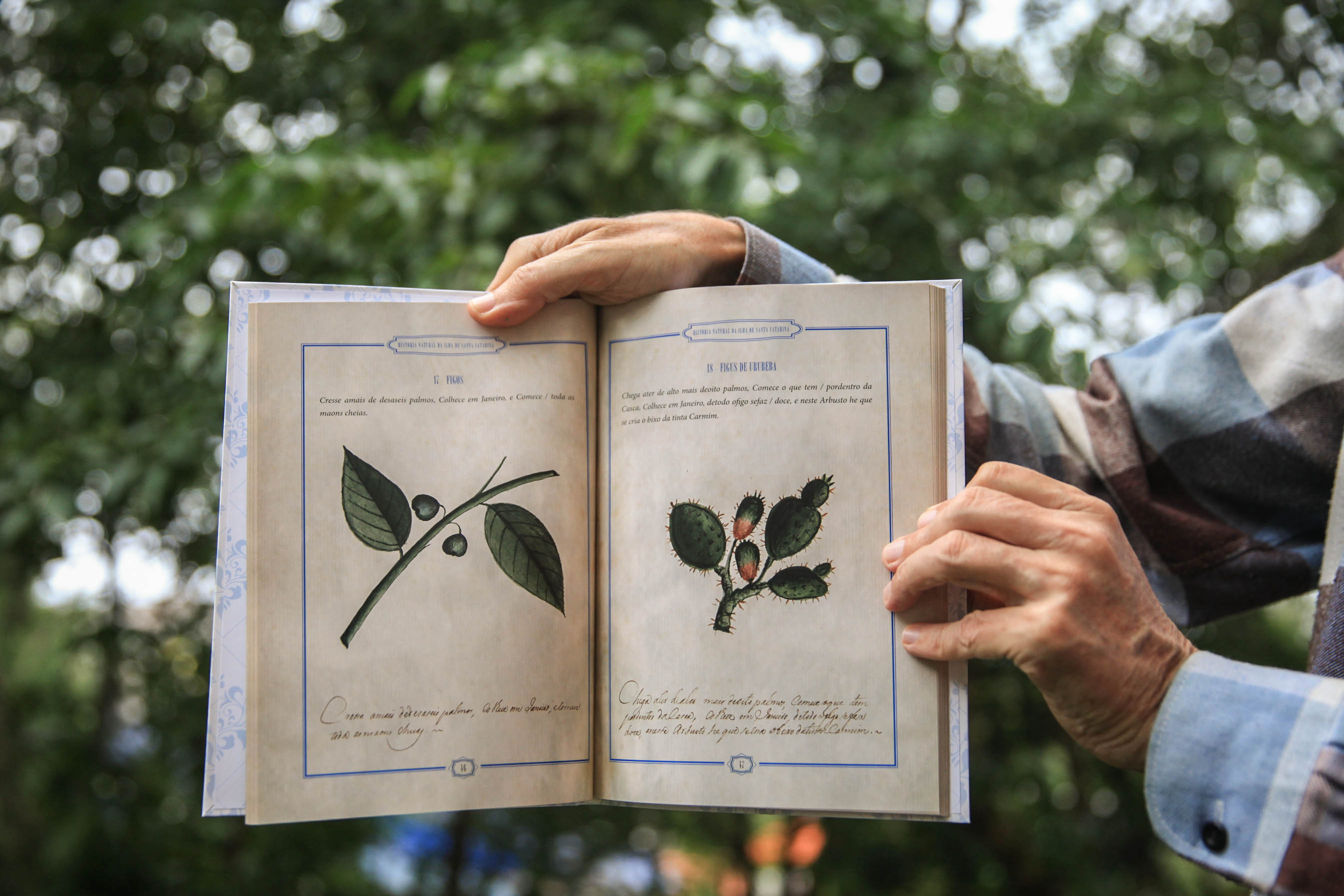Livro com coleção inédita sobre árvores de Santa Catarina