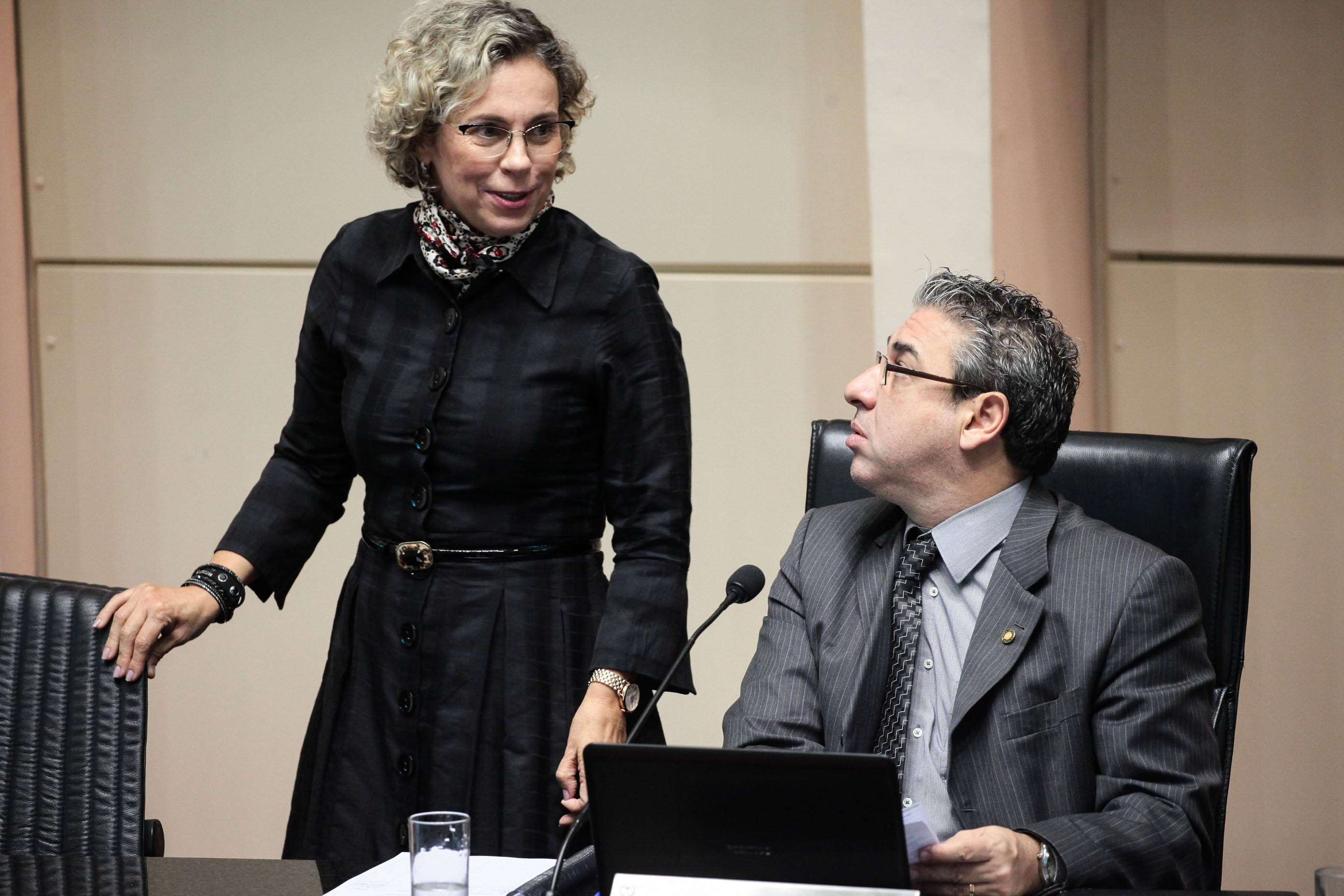 Sessão Ordinária. Foto: Vitor Shimomura  / Agência AL
