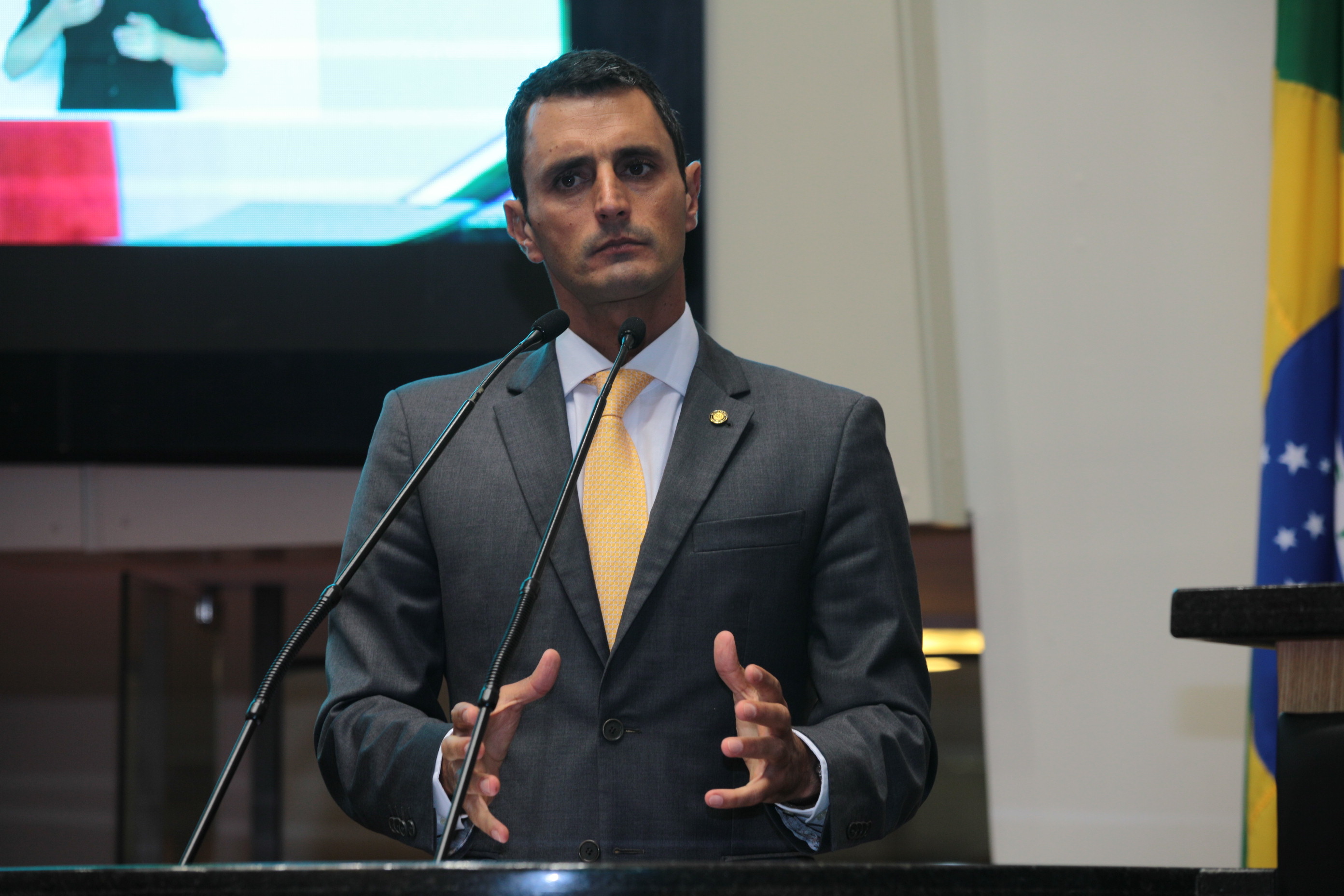 Sessão Ordinária. Deputado João Amin (PP)