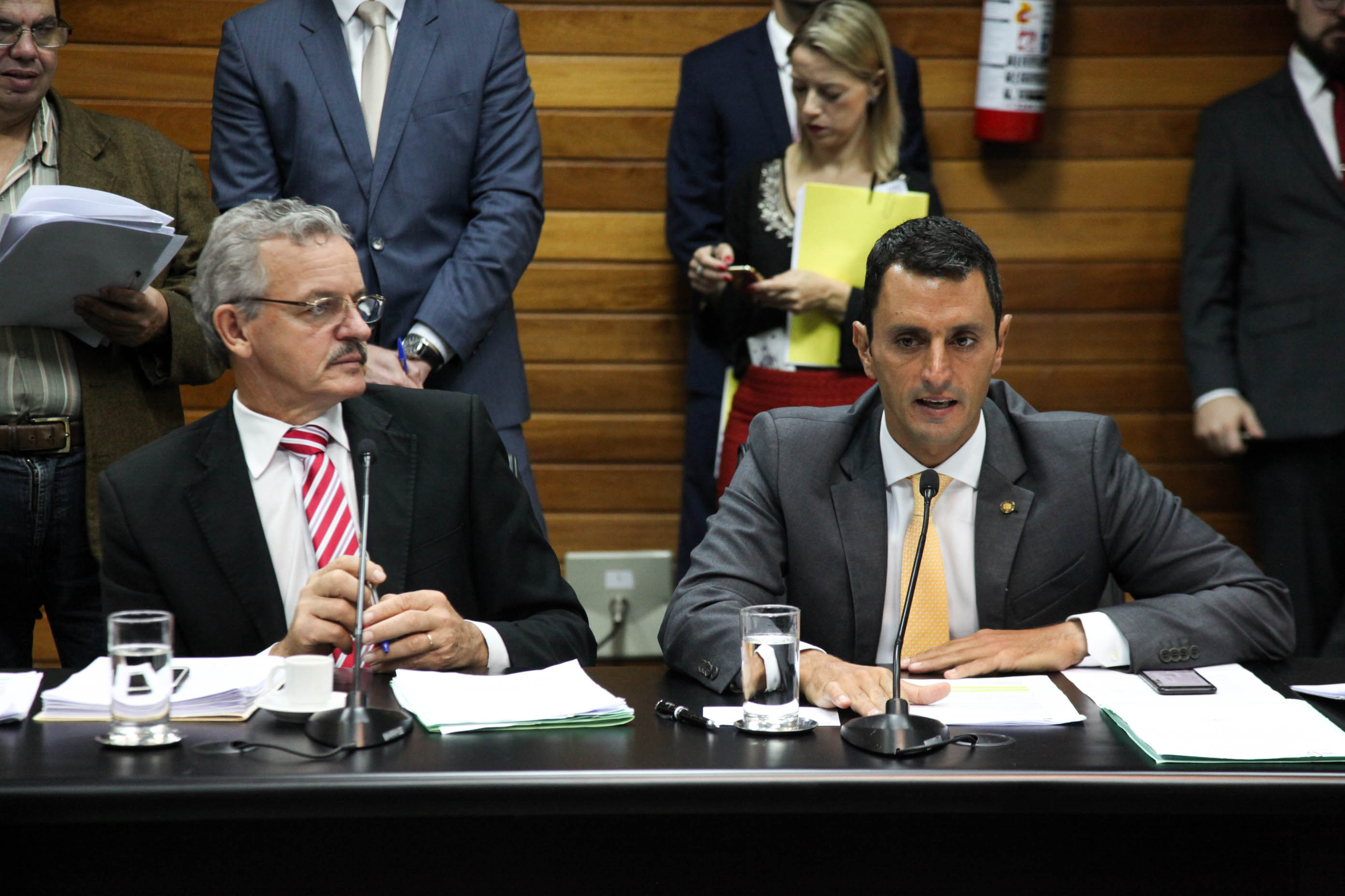 Comissão de Constituição e Justiça.