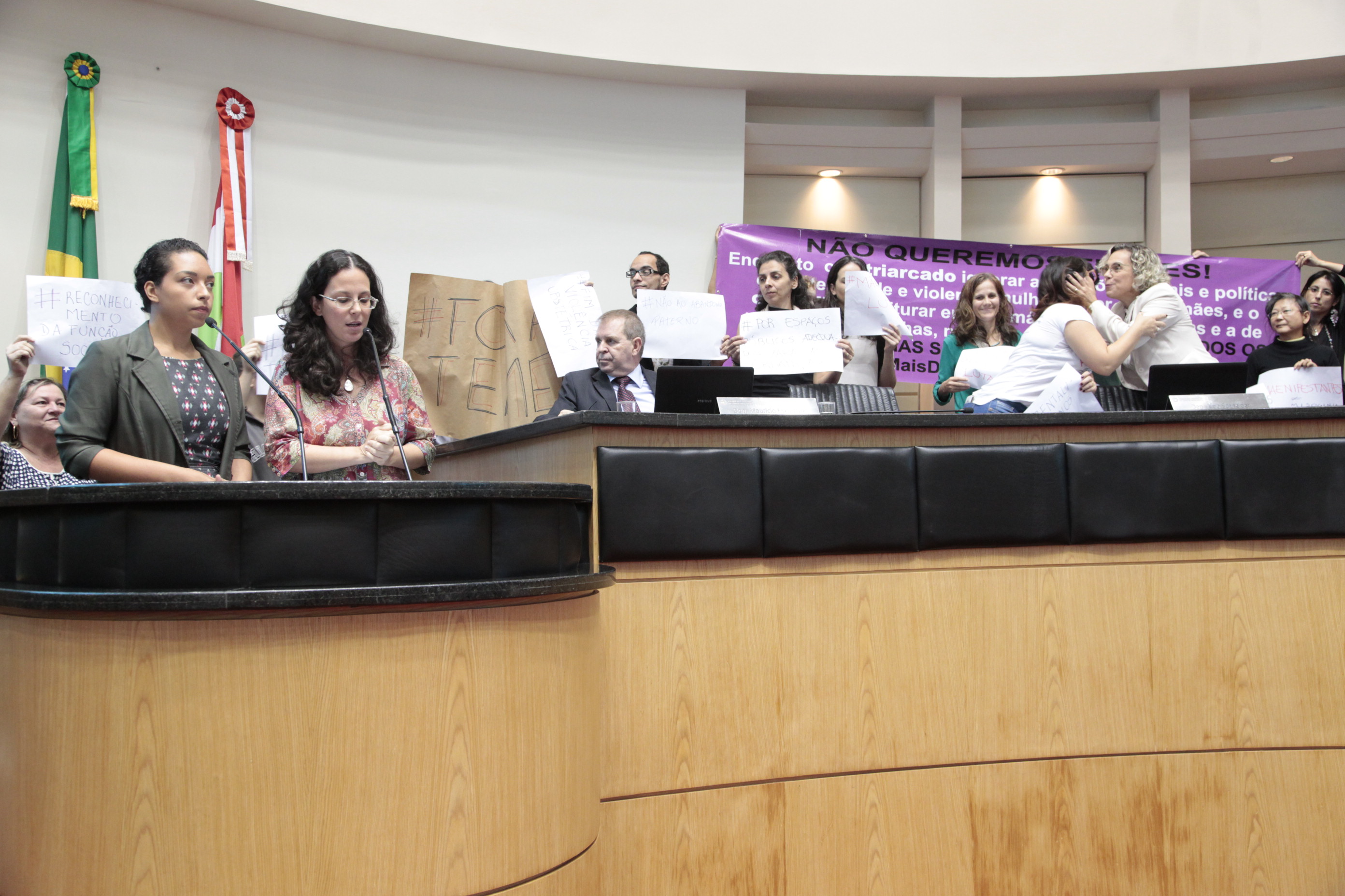 Coletivos de Mulheres Apresentam Manifesto (Mãenifesto) no Plenário da Alesc. Foto: Eduardo Guedes / Agência AL