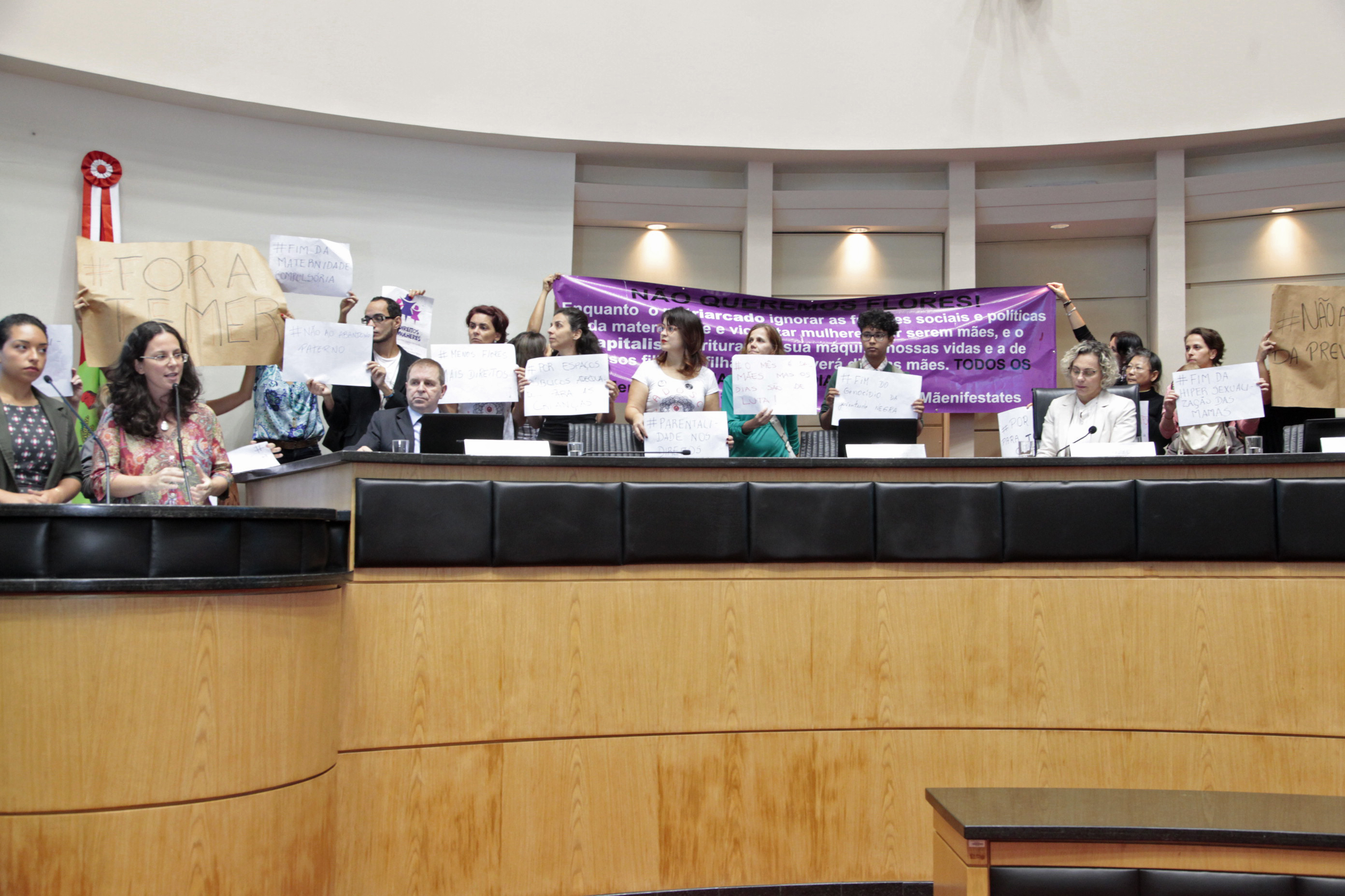 Coletivos de Mulheres Apresentam Manifesto (Mãenifesto) no Plenário da Alesc. Foto: Eduardo Guedes / Agência AL