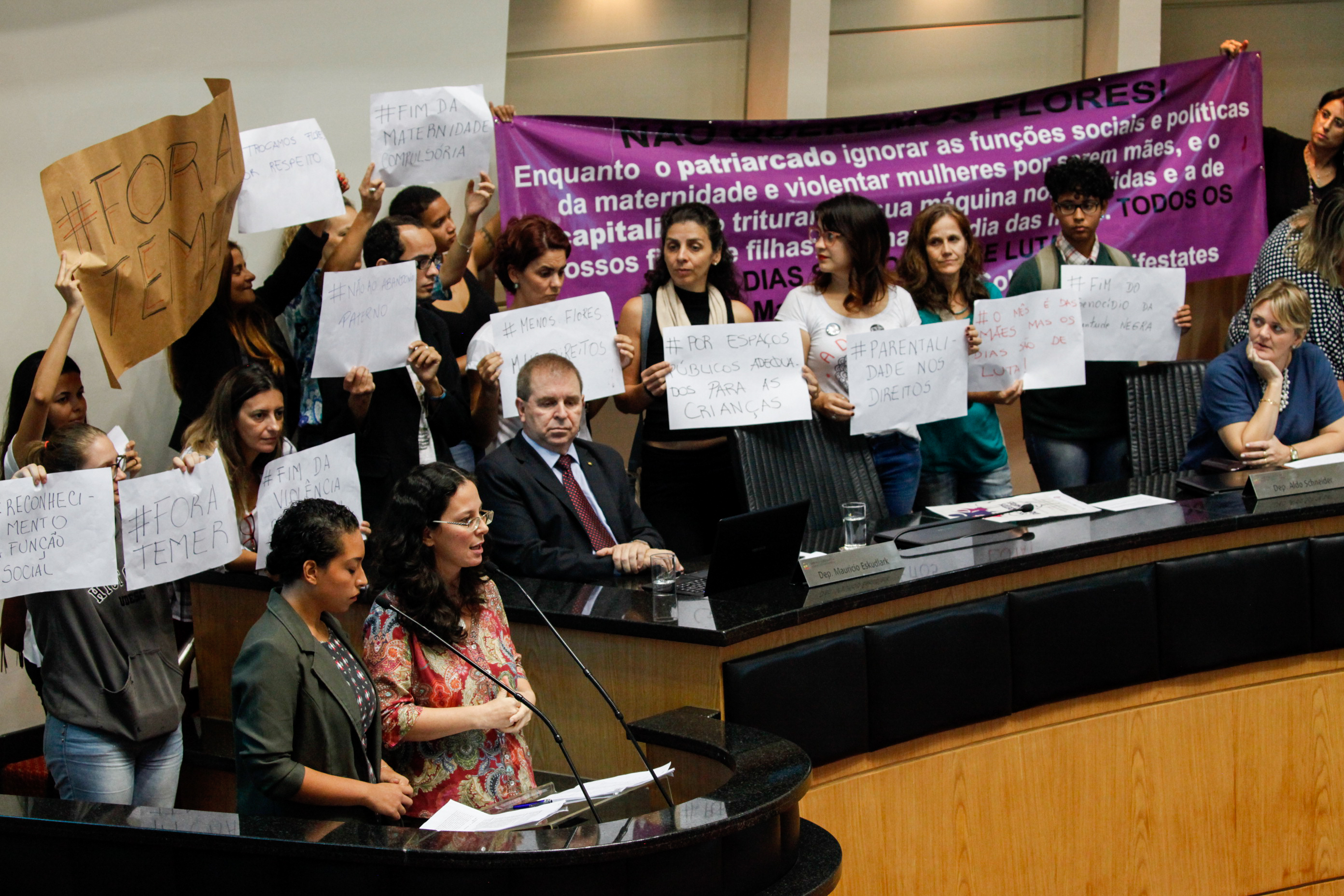 Coletivos de Mulheres Apresentam Manifesto (Mãenifesto) no Plenário da Alesc. Foto: Vitor Shimomura / Agência AL