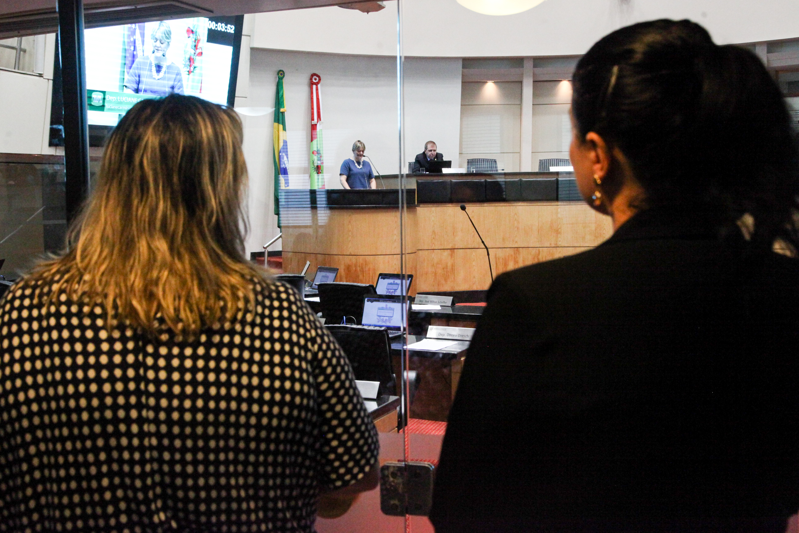 Coletivos de Mulheres Apresentam Manifesto (Mãenifesto) no Plenário da Alesc. Foto: Vitor Shimomura / Agência AL