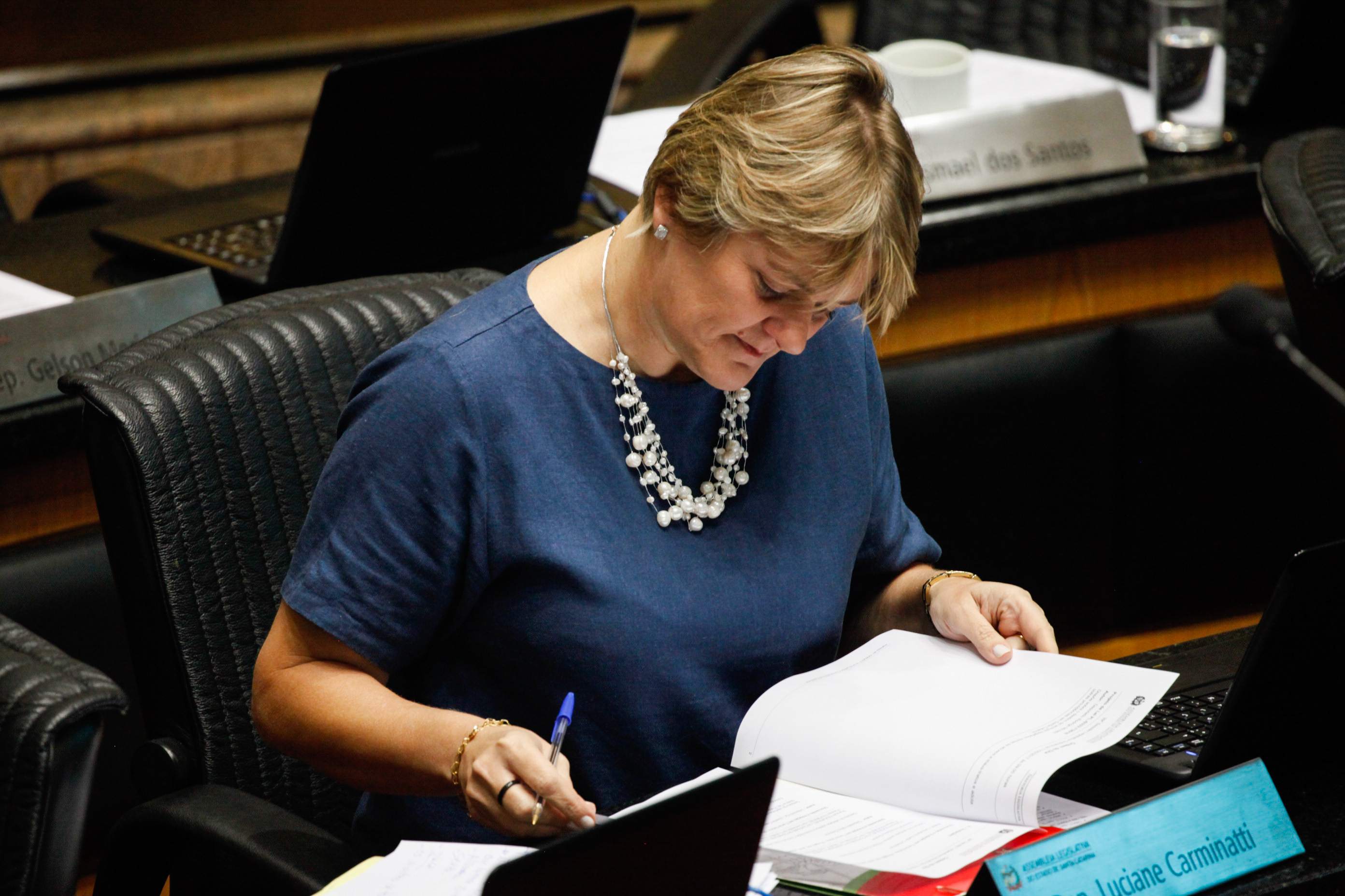 Deputada Luciane Carminatti (PT). Sessão Ordinária.