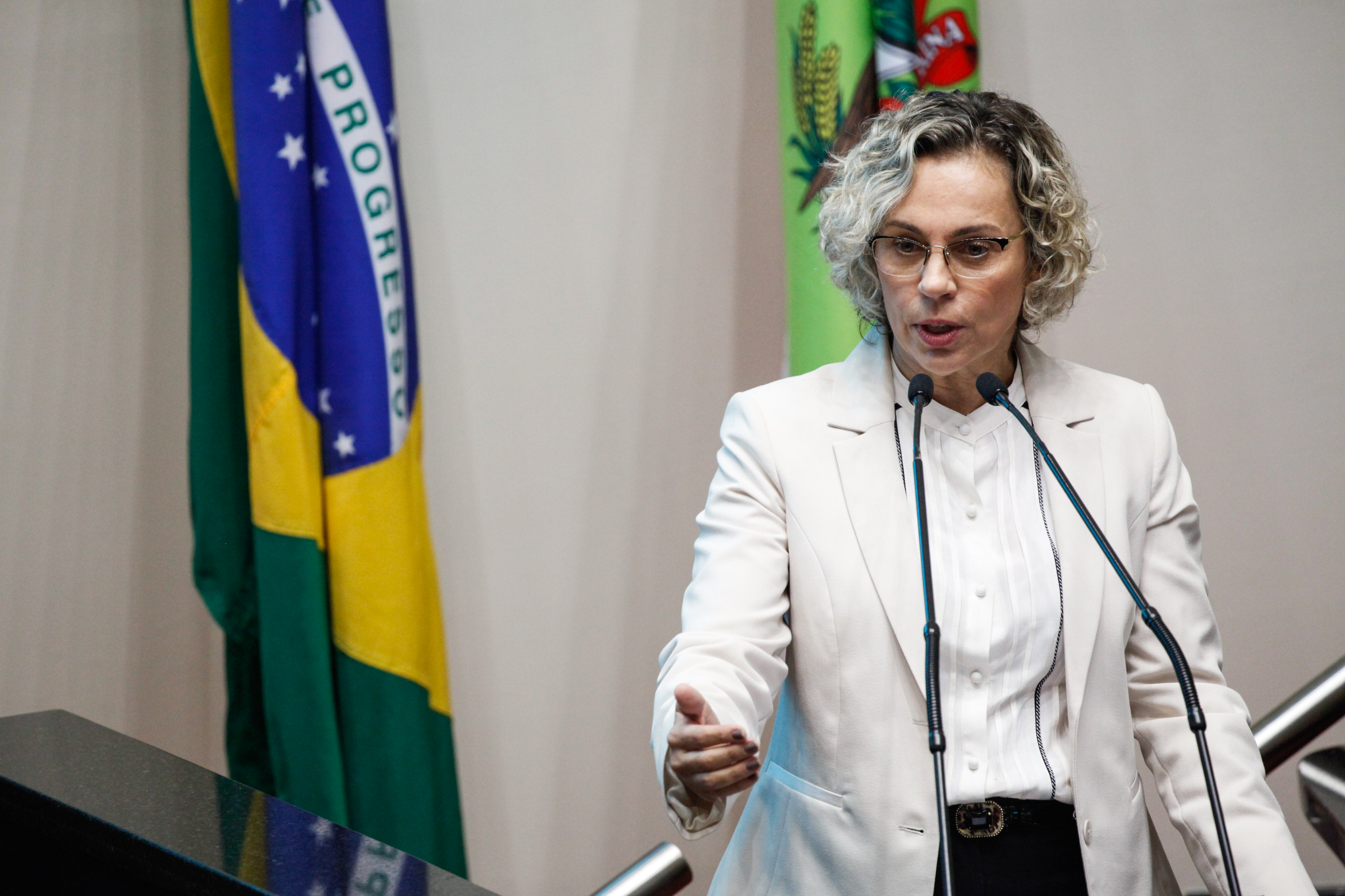 Deputada Ana Paula Lima (PT). Sessão Ordinária.