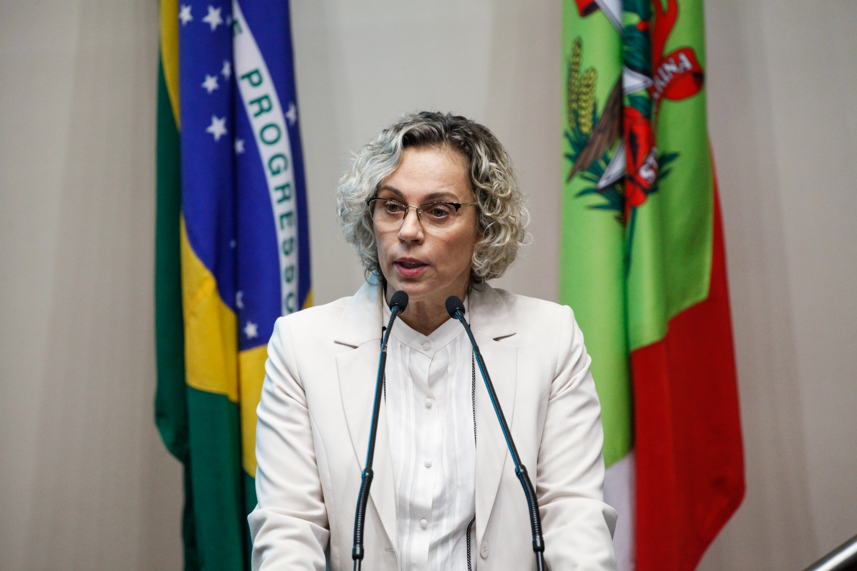 Deputada Ana Paula Lima (PT). Sessão Ordinária.