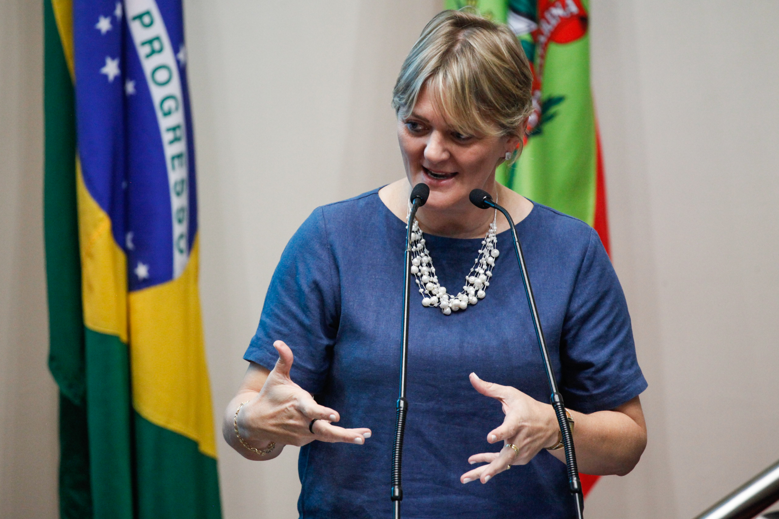 Deputada Luciane Carminatti (PT). Sessão Ordinária.