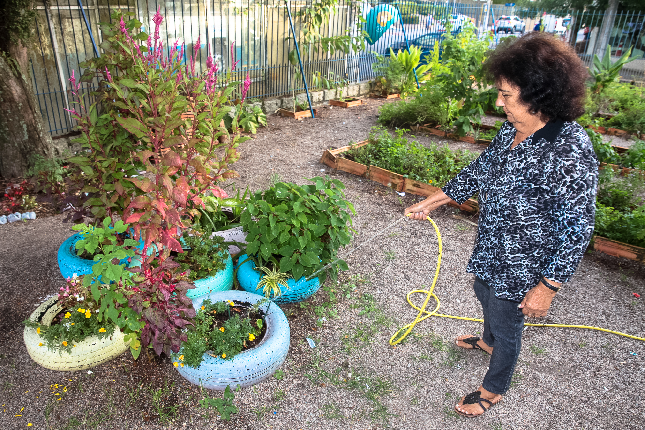 Projeto Horta Comunitária.