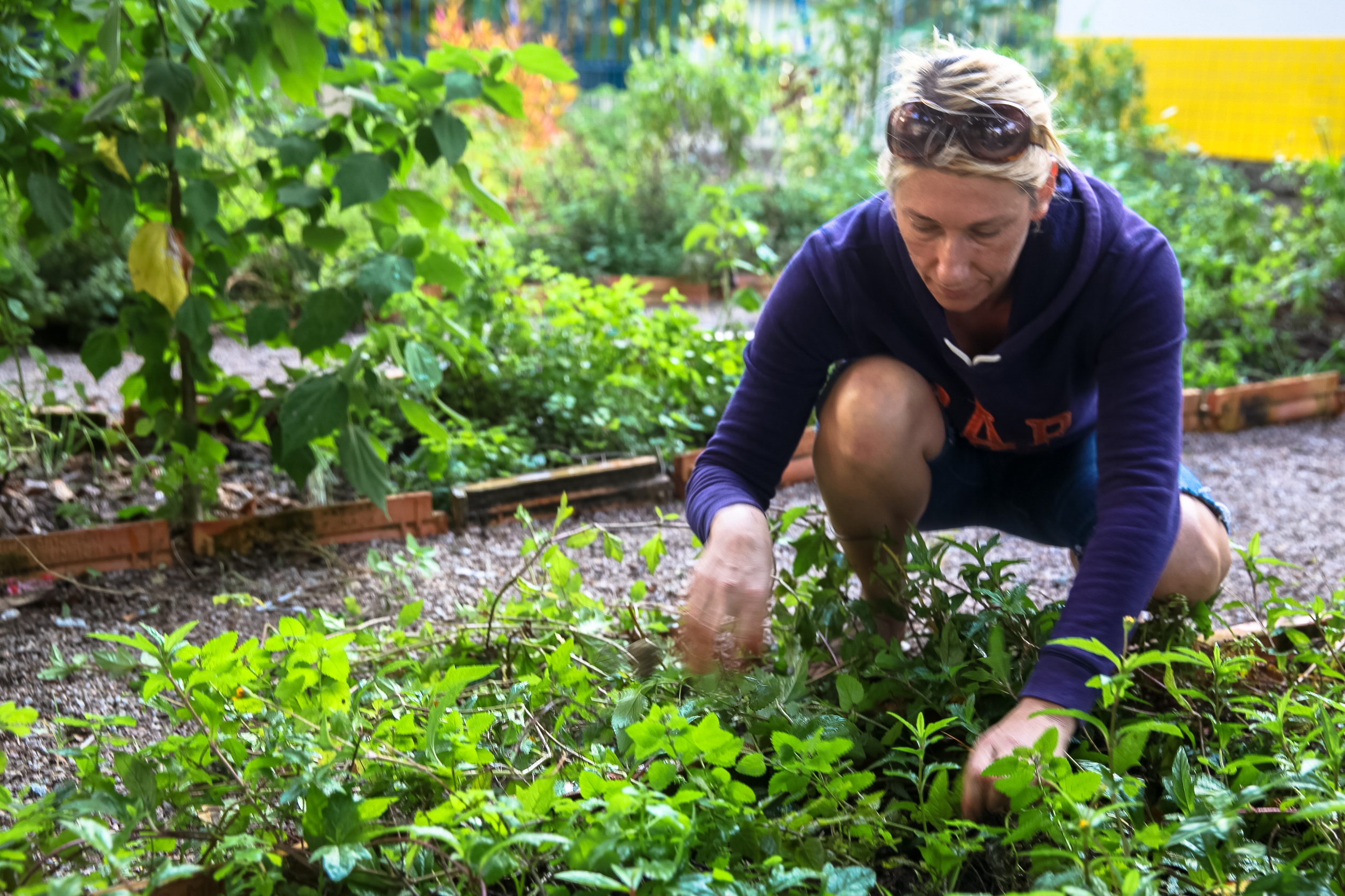 Projeto Horta Comunitária.