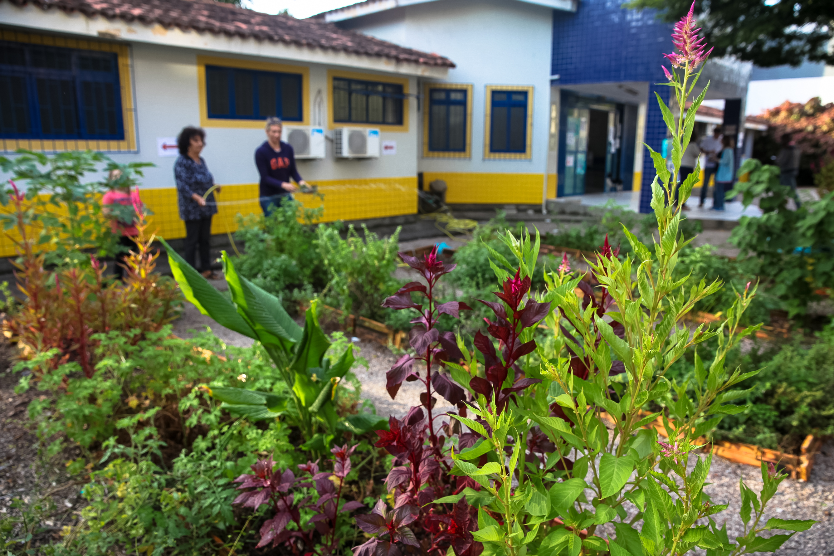 Projeto Horta Comunitária.