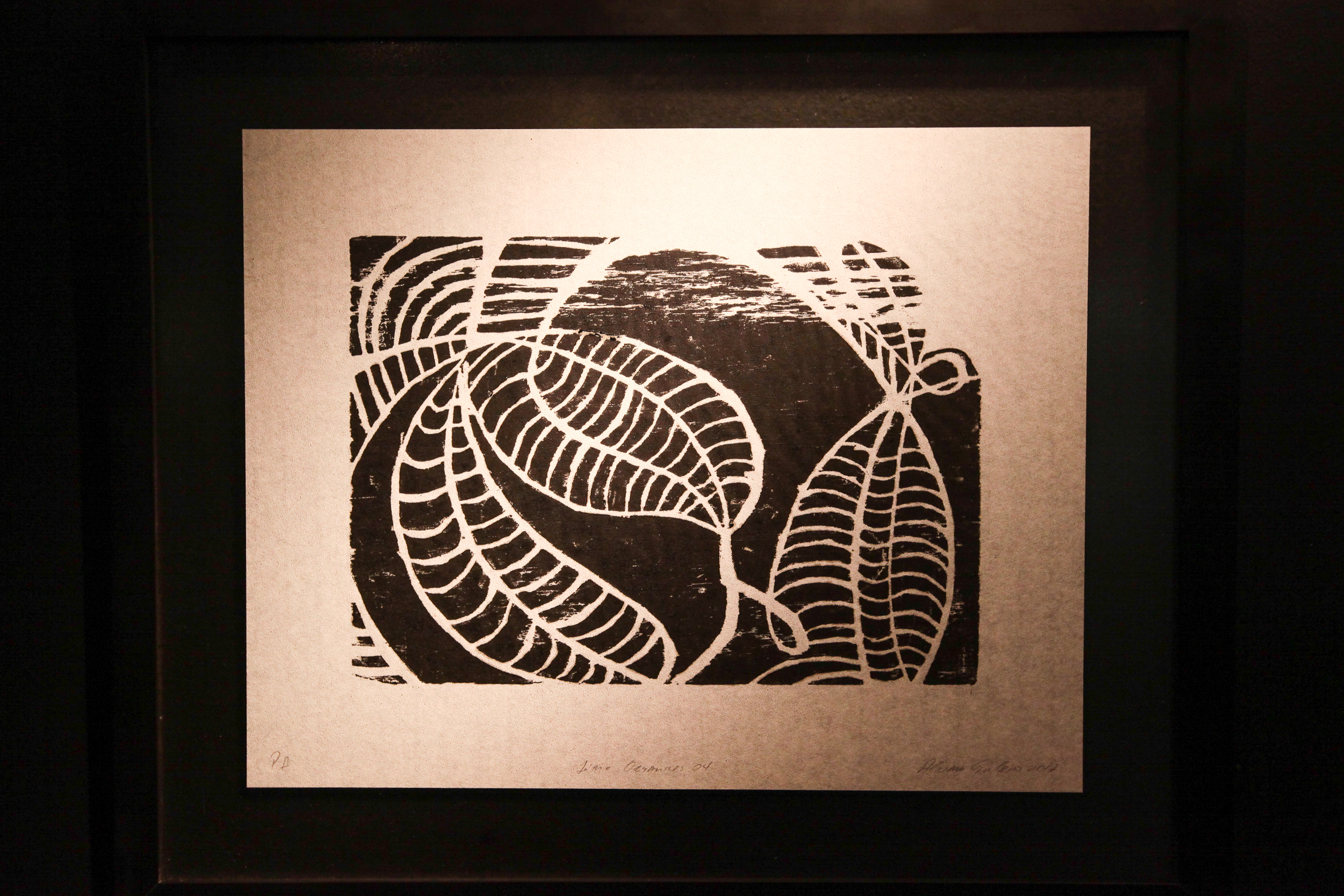Abertura da Exposição Série Orgânicas.