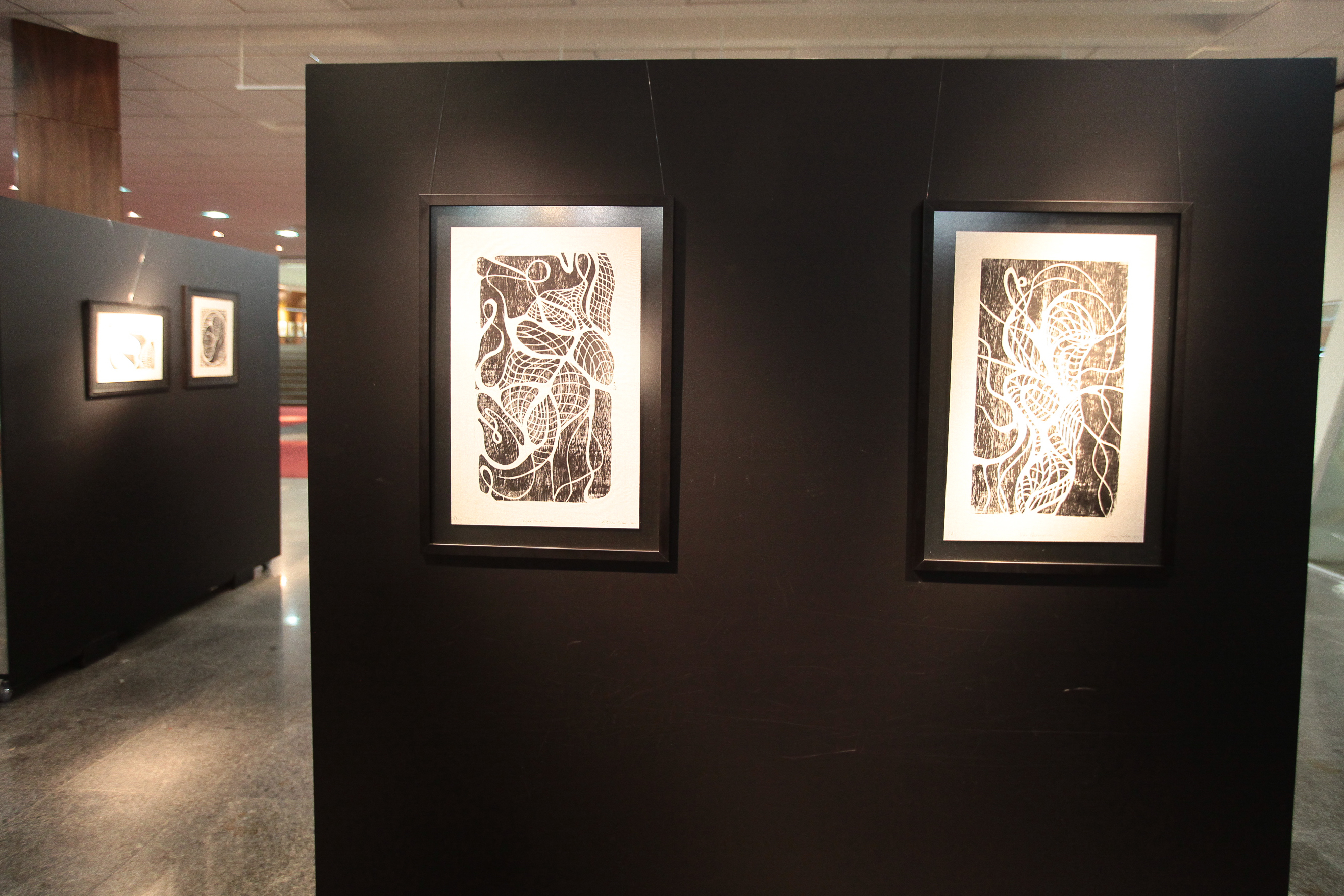 Abertura da Exposição Série Orgânicas.