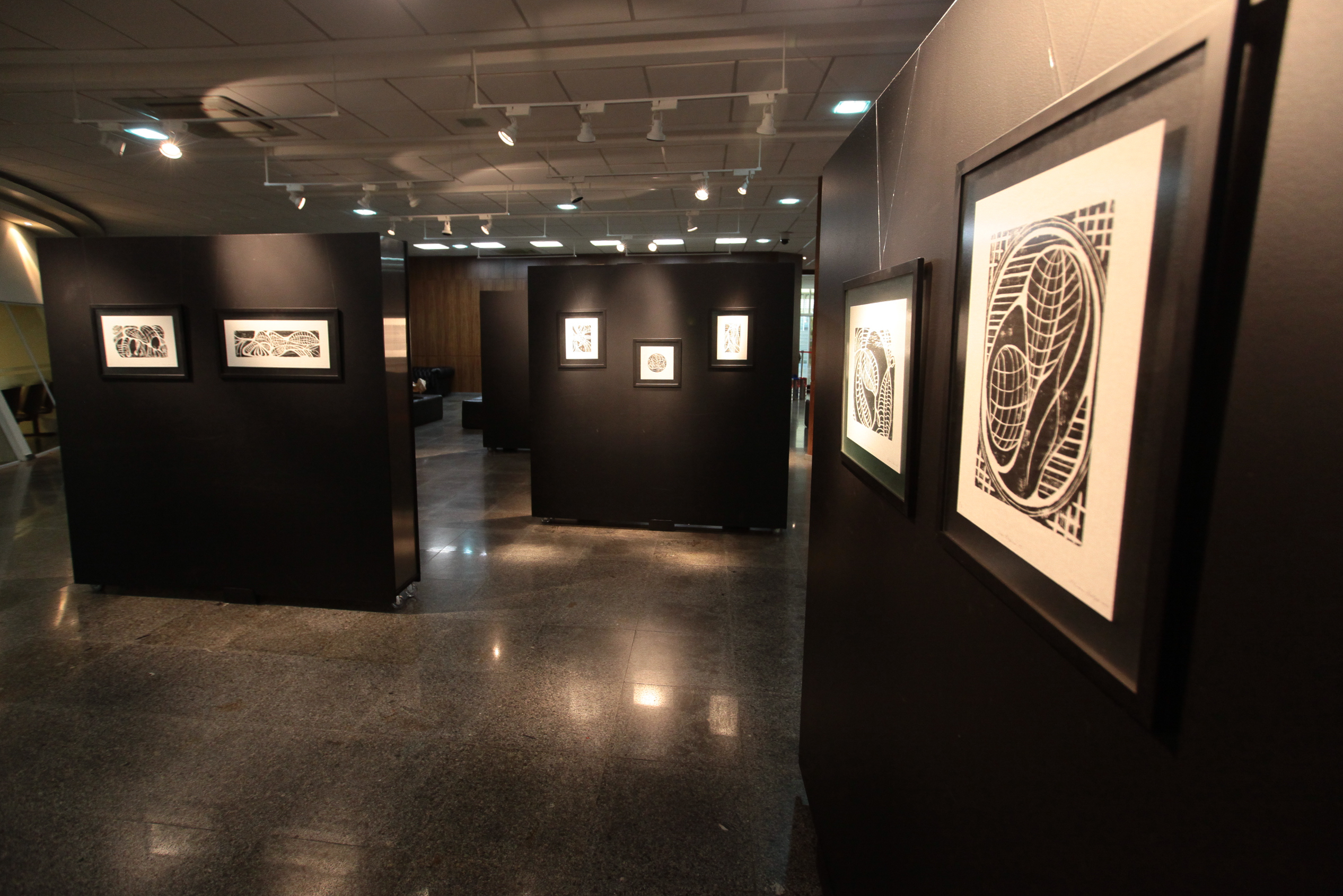Abertura da Exposição Série Orgânicas.