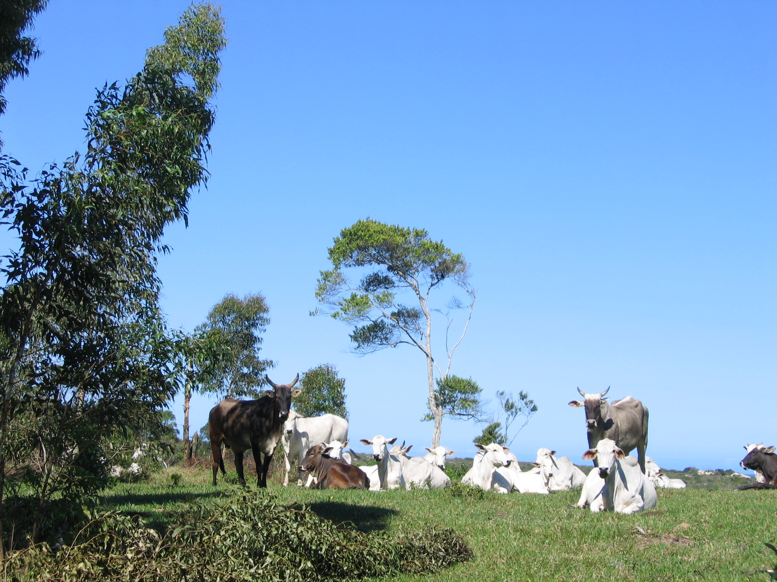 Foto: Solon Soares / Agência AL