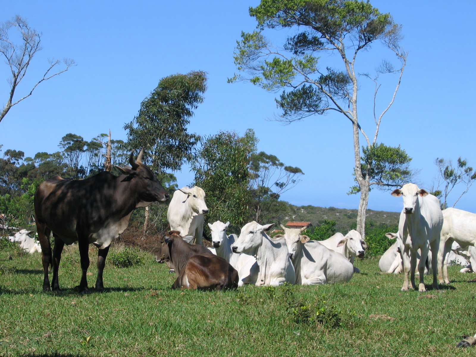 Foto: Solon Soares / Agência AL