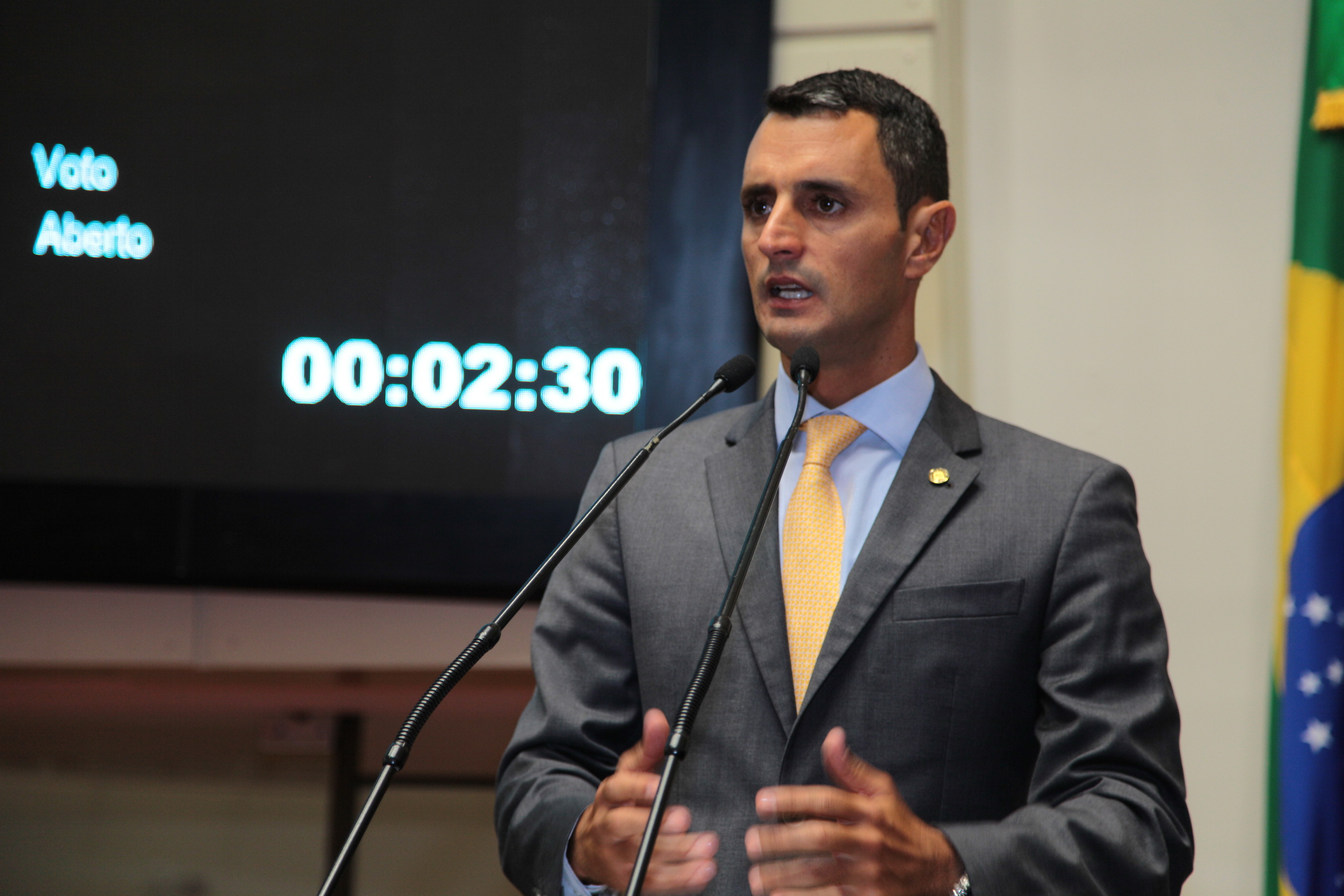 Sessão Ordinária. Deputado João Amin (PP)
