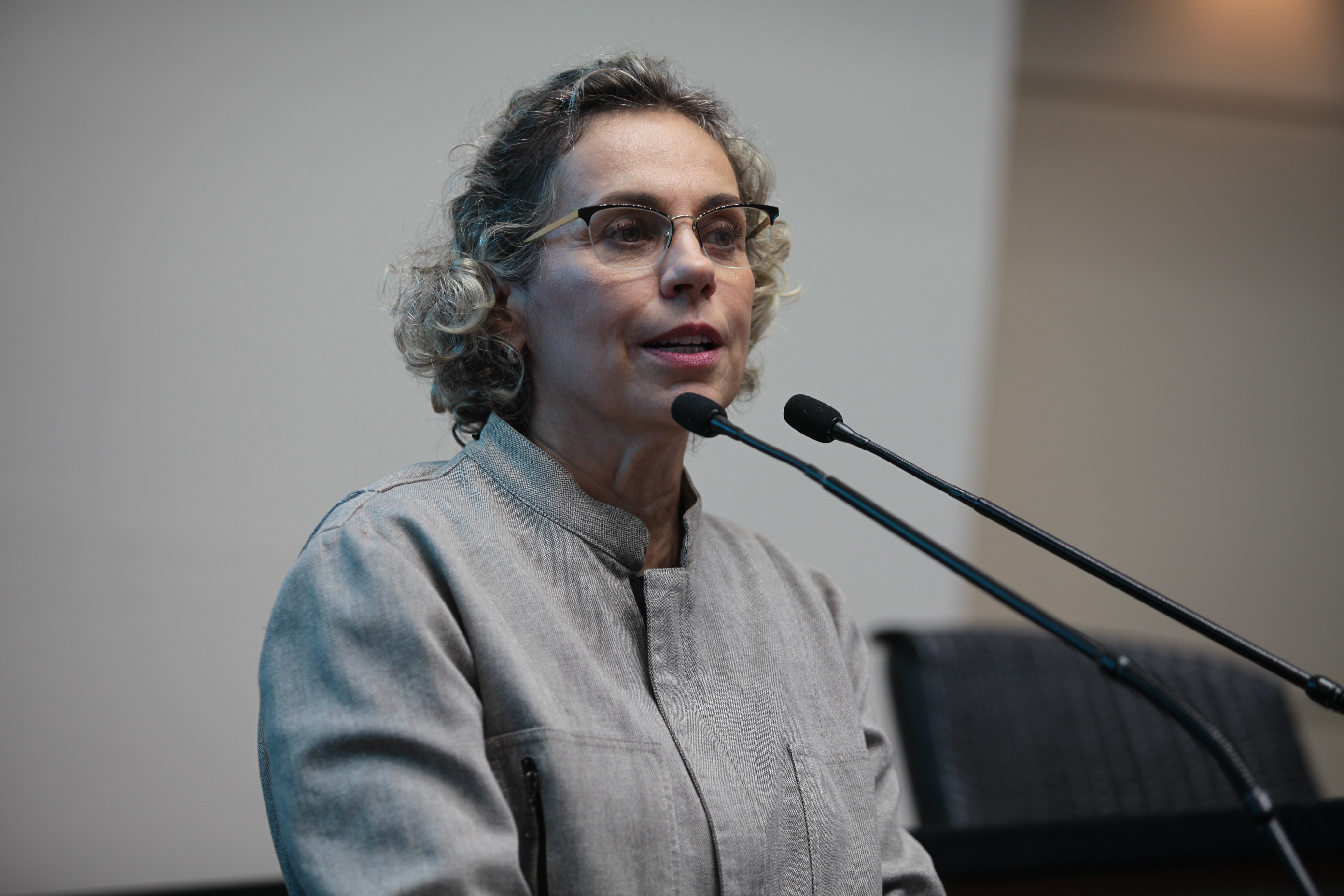 Deputada Ana Paula Lima (PT). Sessão Ordinária.