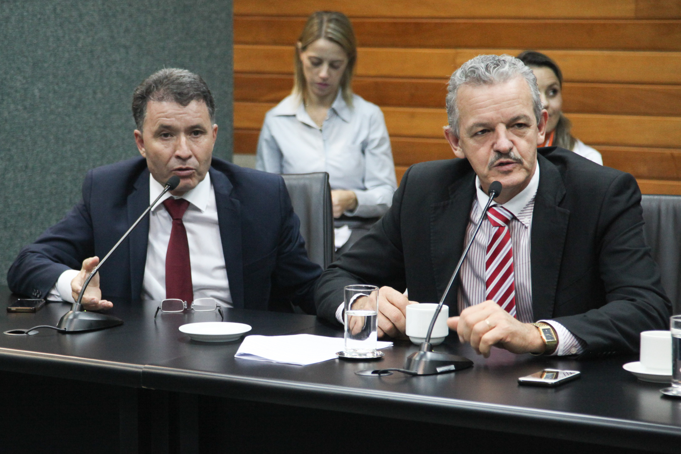 Reunião da Comissão de Constituição e Justiça.