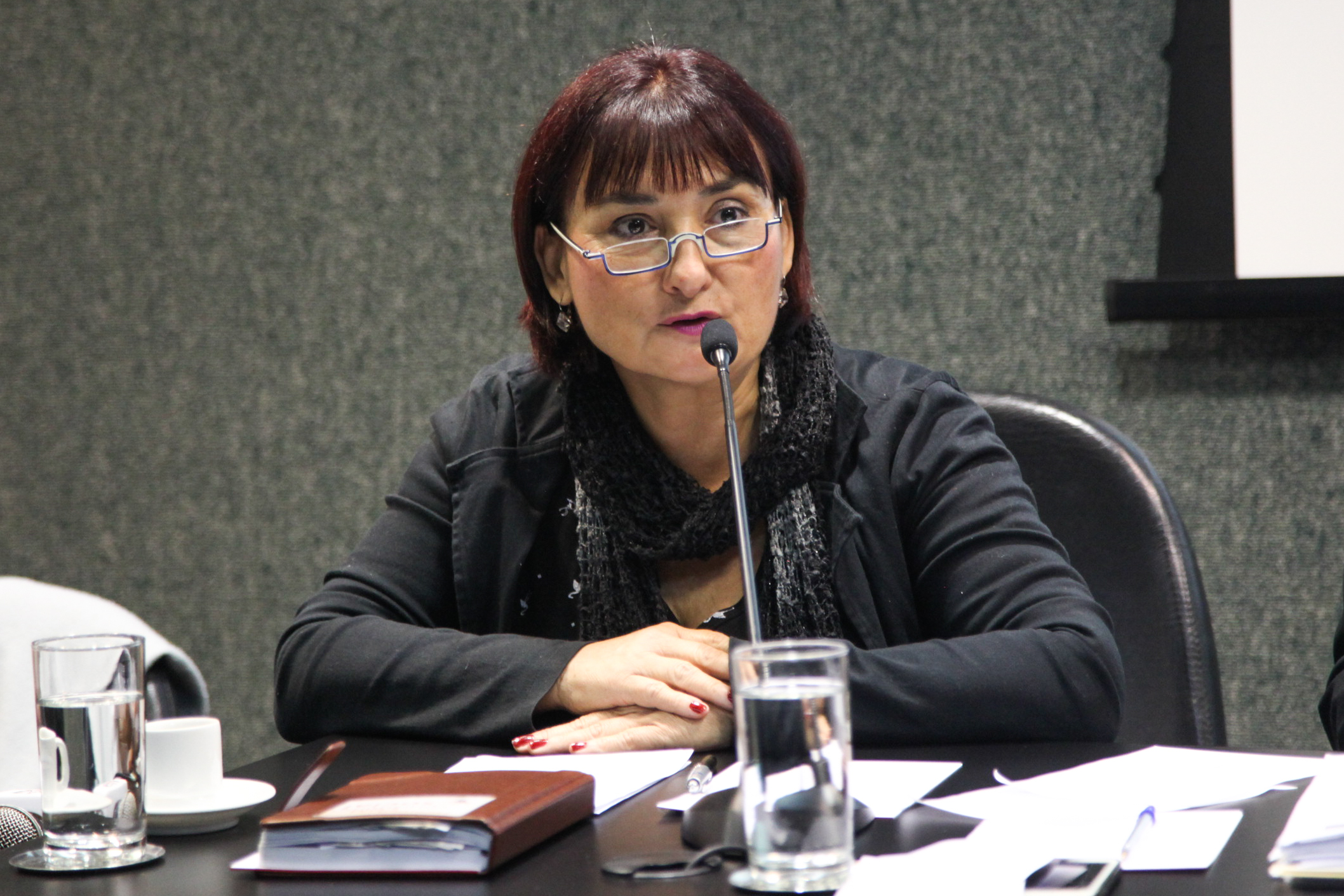 Comissão dos Direitos Humanos Promove Audiência Pública Sobre Dia Internacional Contra LGBTfobia