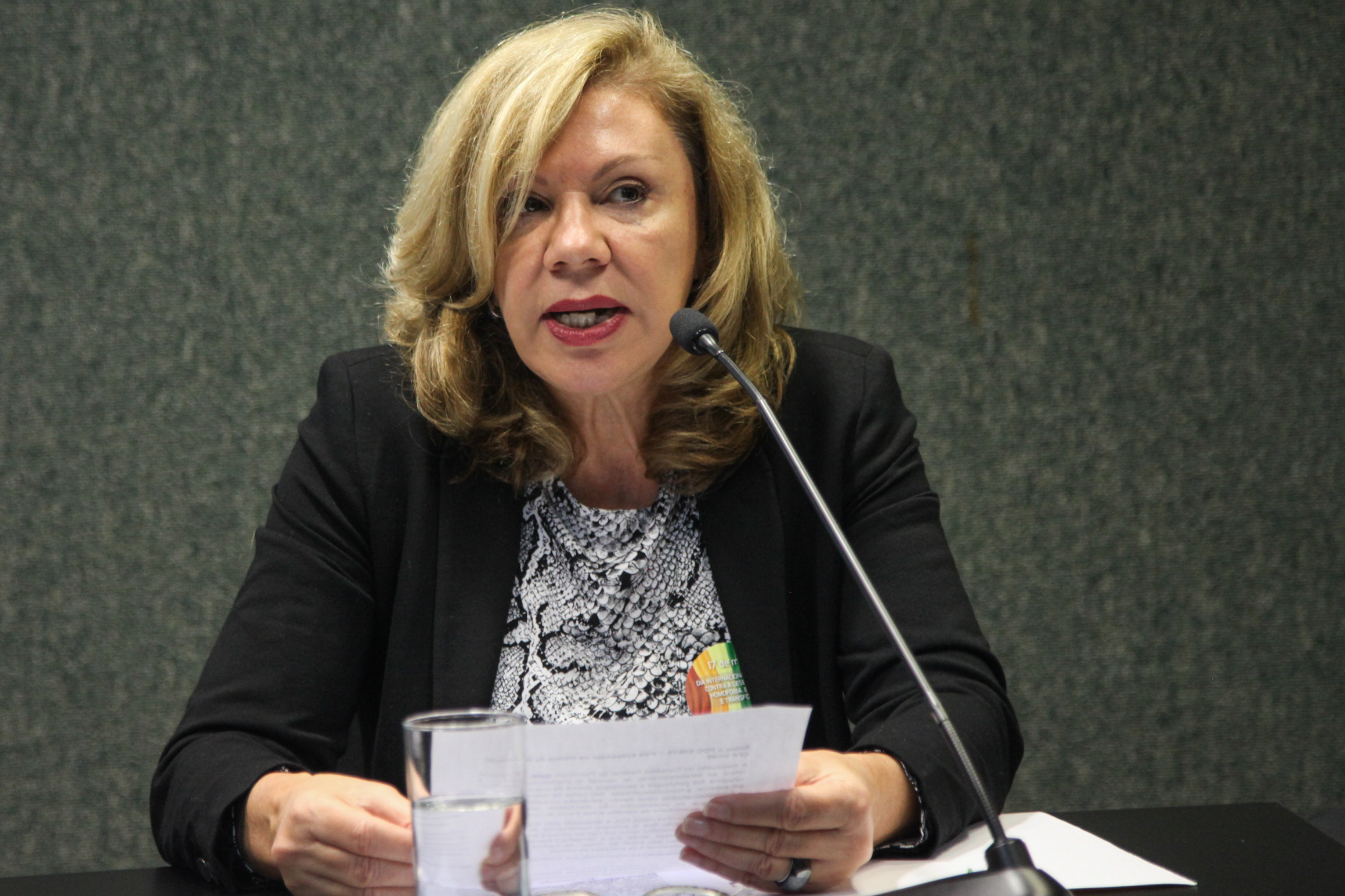 Comissão dos Direitos Humanos Promove Audiência Pública Sobre Dia Internacional Contra LGBTfobia